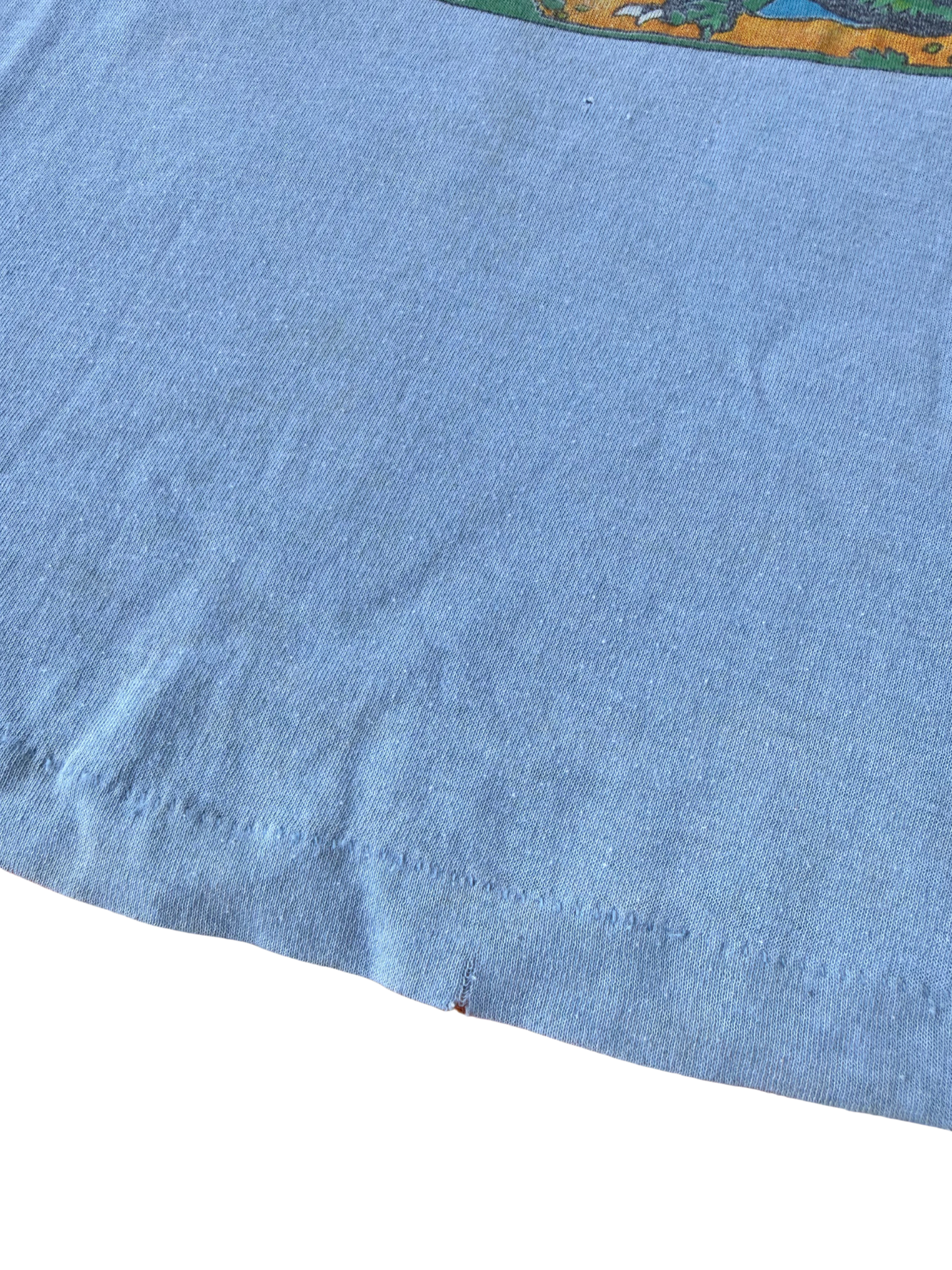 Vintage 1980s Safari Ltd “Extinct Is Forever” Kids T-Shirt