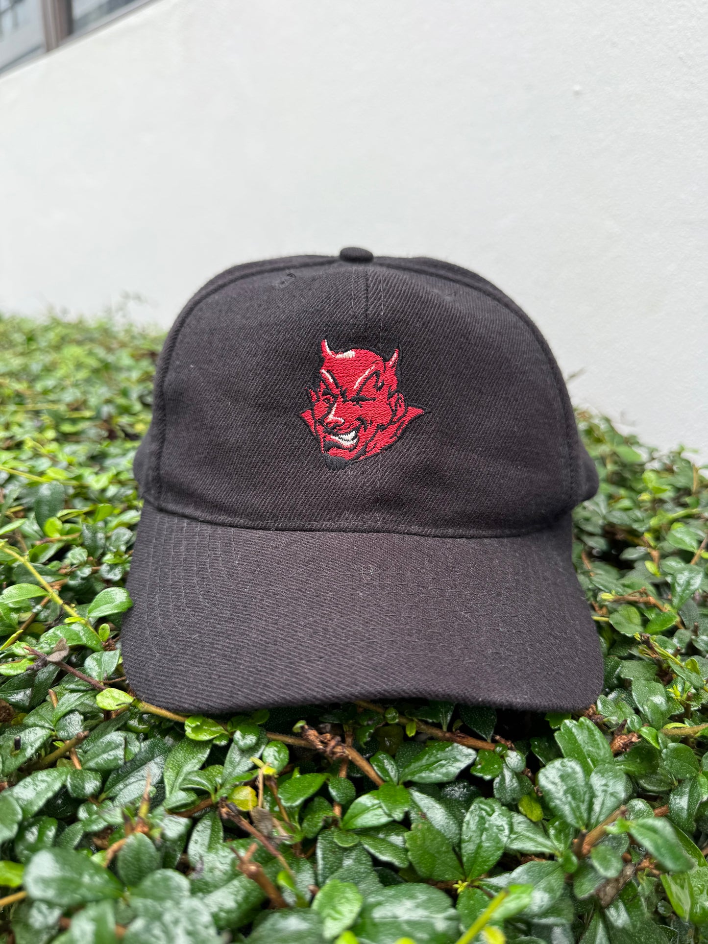 Vintage Third Rail Skateboard Devil Logo Snapback Cap