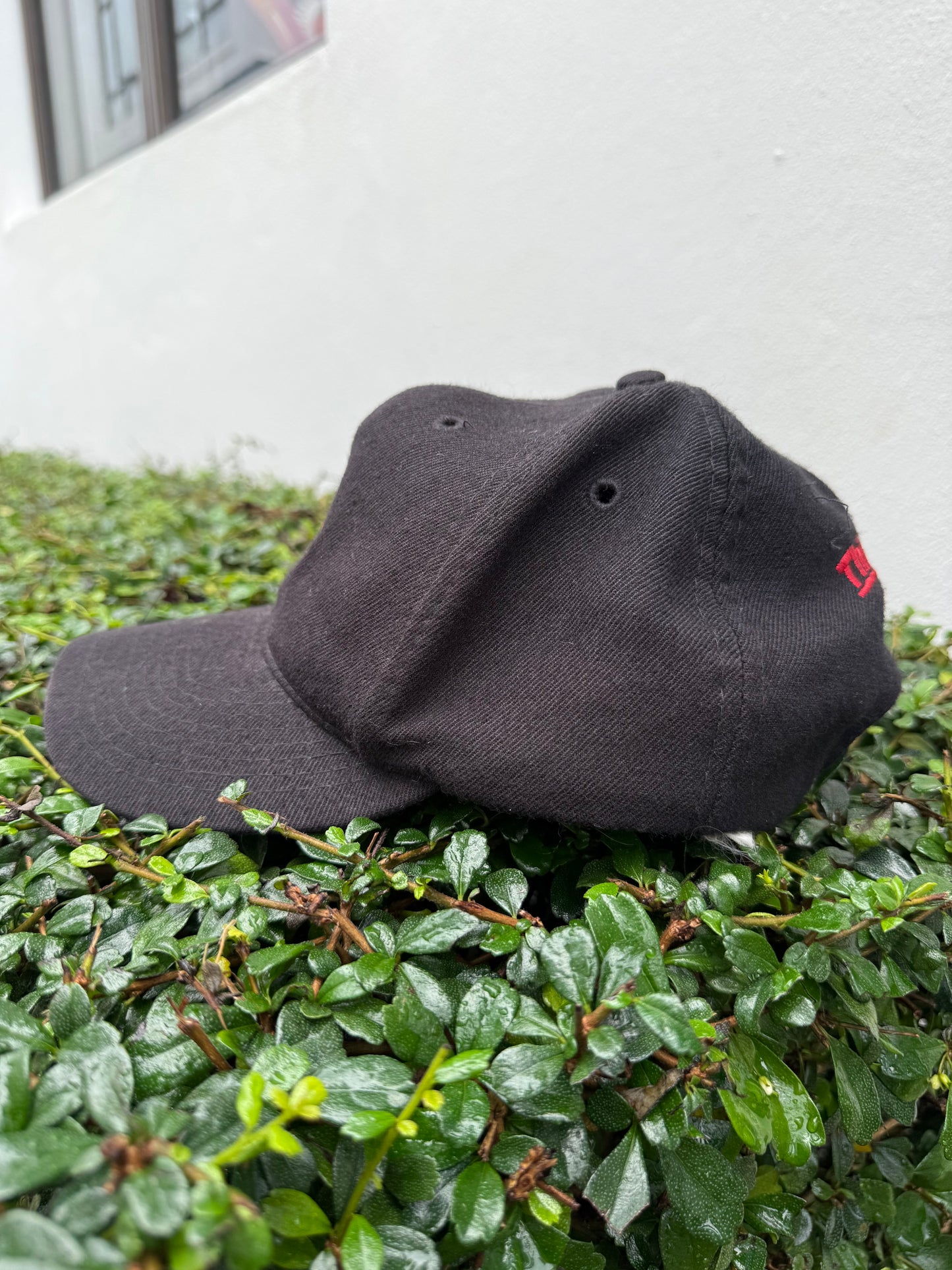 Vintage Third Rail Skateboard Devil Logo Snapback Cap