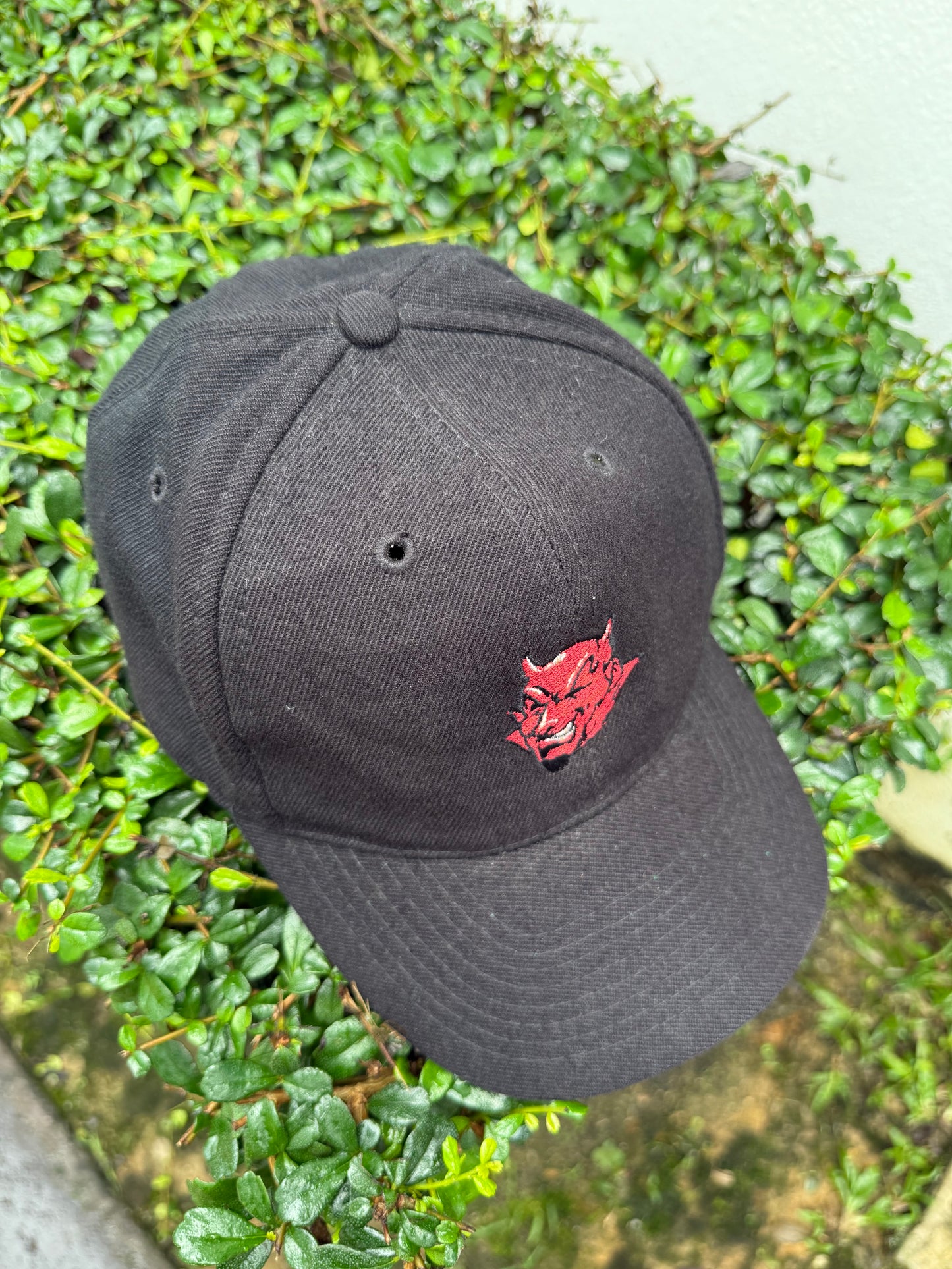 Vintage Third Rail Skateboard Devil Logo Snapback Cap