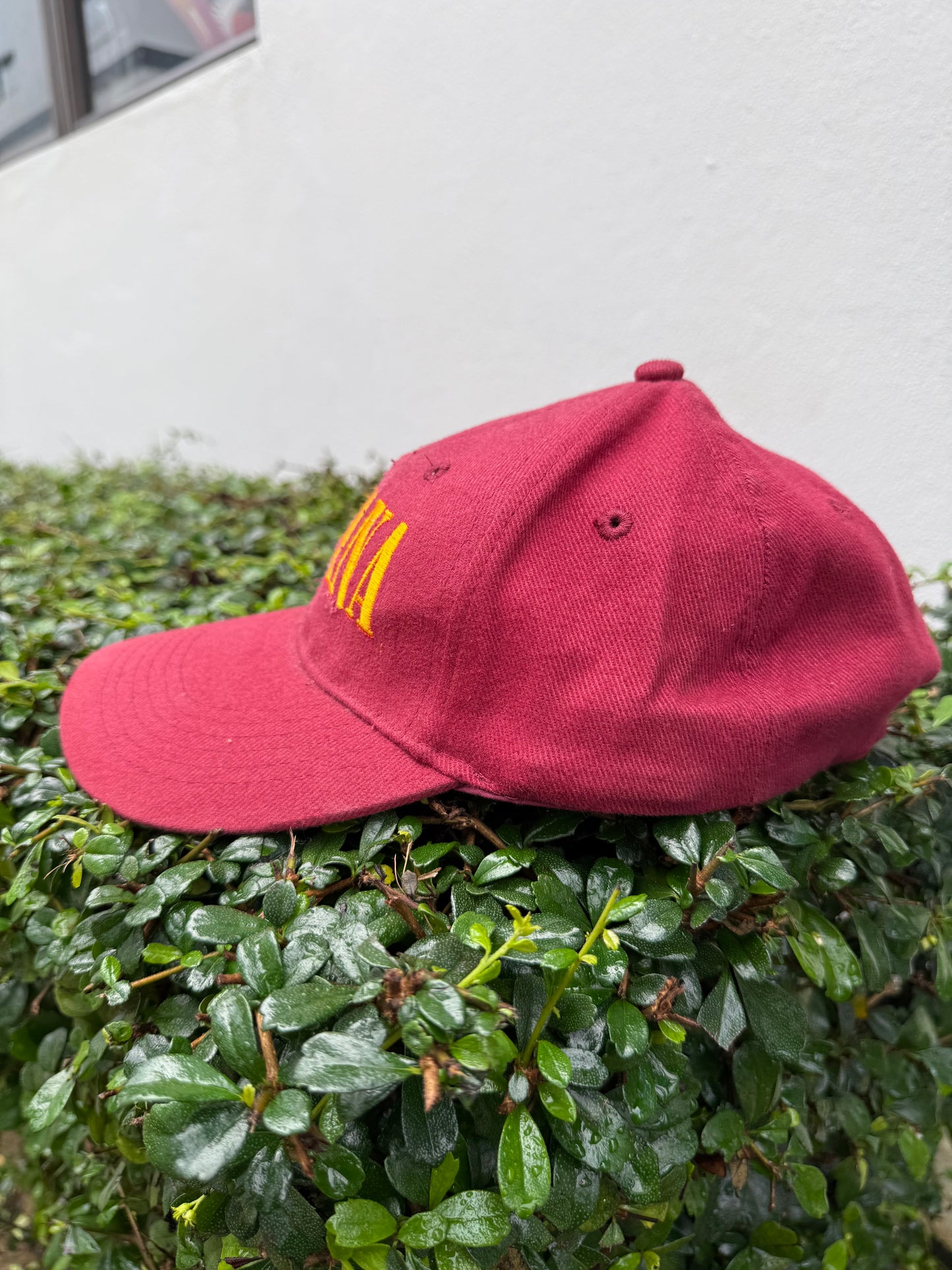 Vintage Nirvana Strapback Cap – 90s Grunge Rock Hat