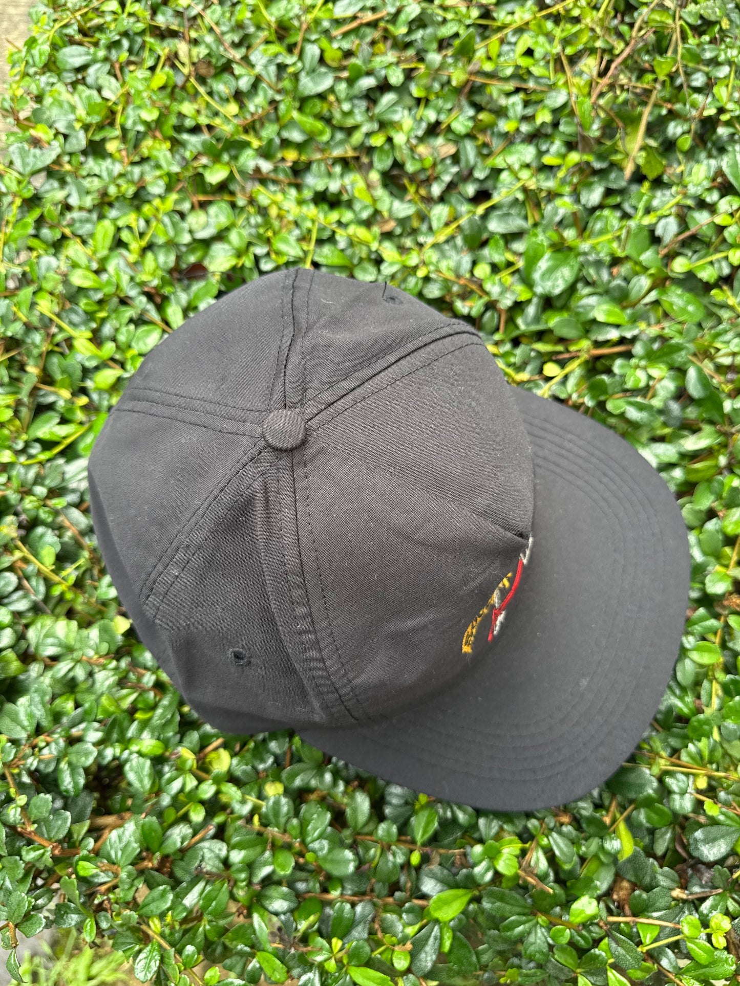 Vintage Soul Asylum 90s Band Snapback Hat – Alternative Rock Grunge Promo Cap