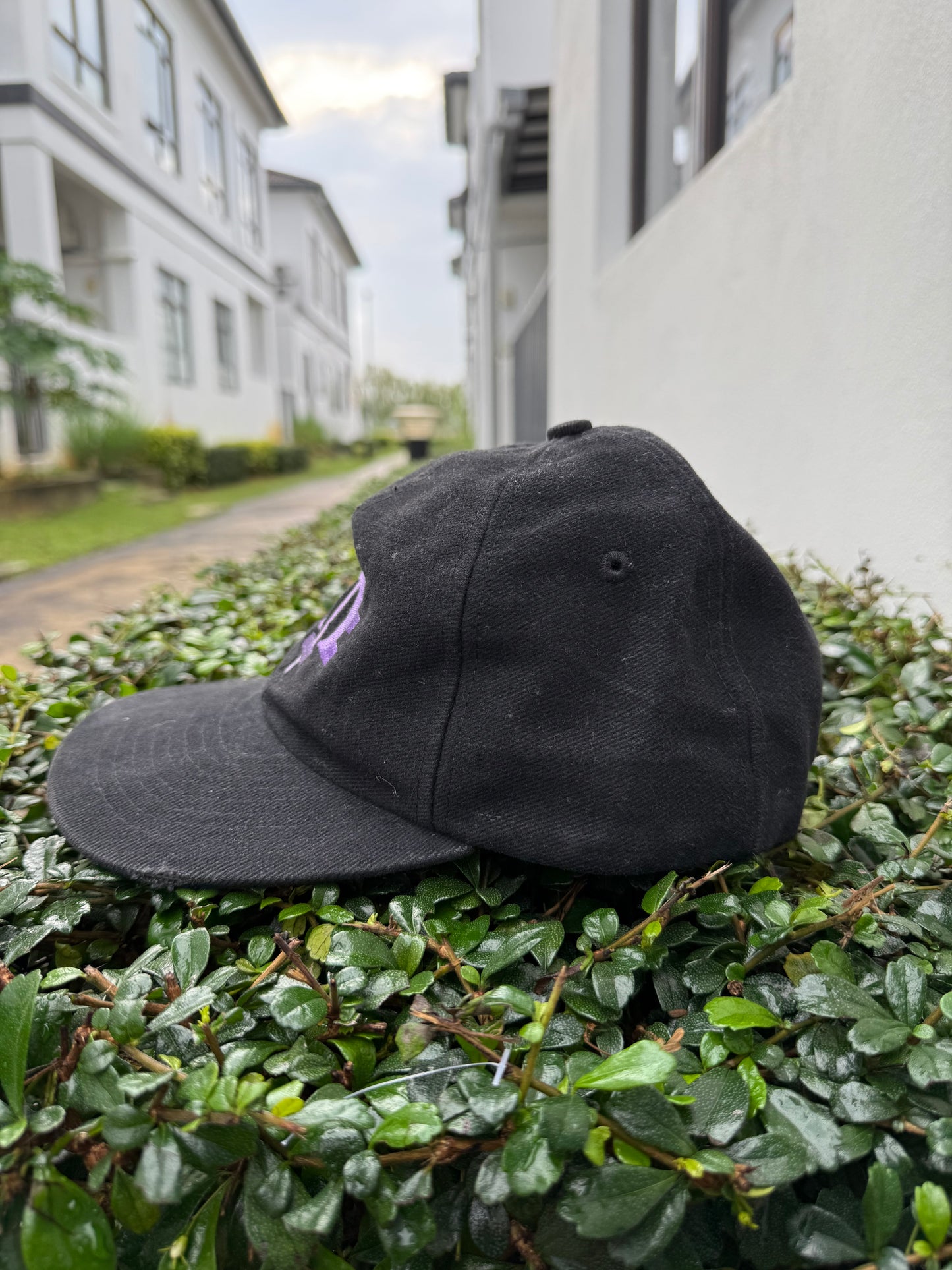 Vintage Melissa Etheridge Tour Promo Snapback Hat