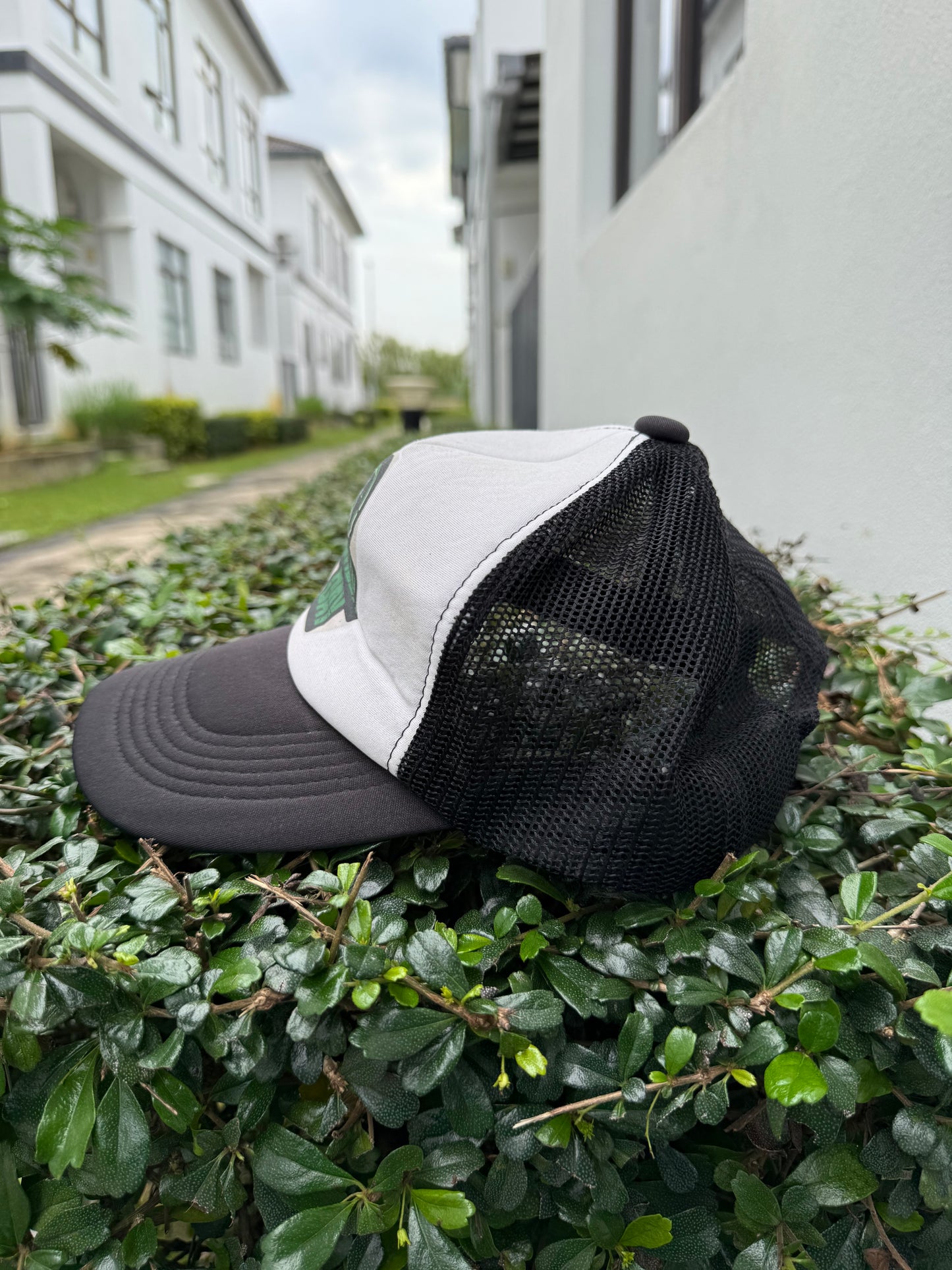 Vintage Green Day Trucker Cap