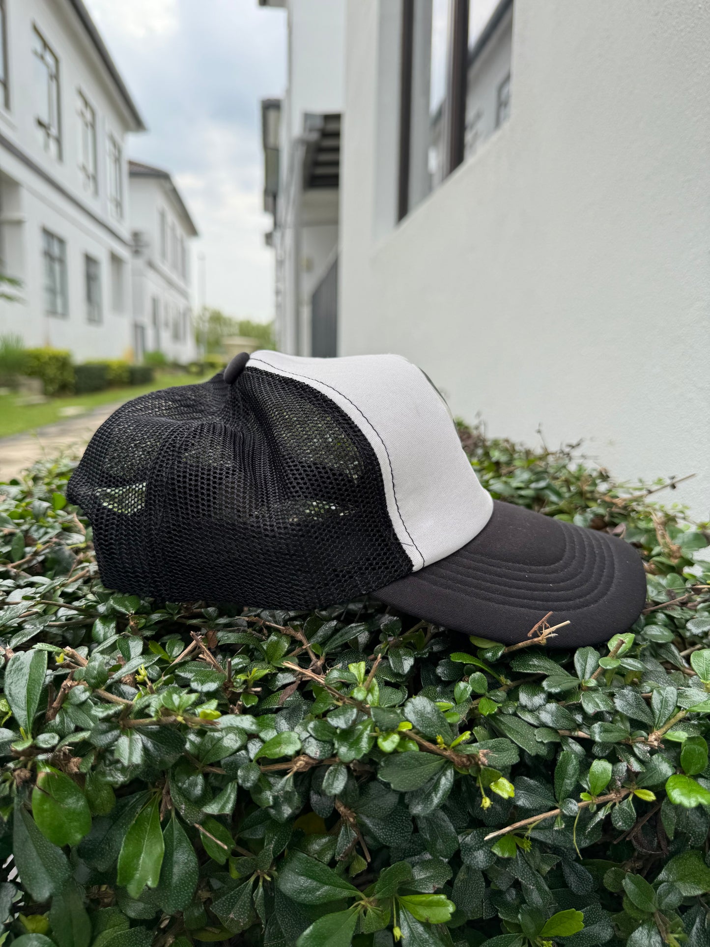 Vintage Green Day Trucker Cap