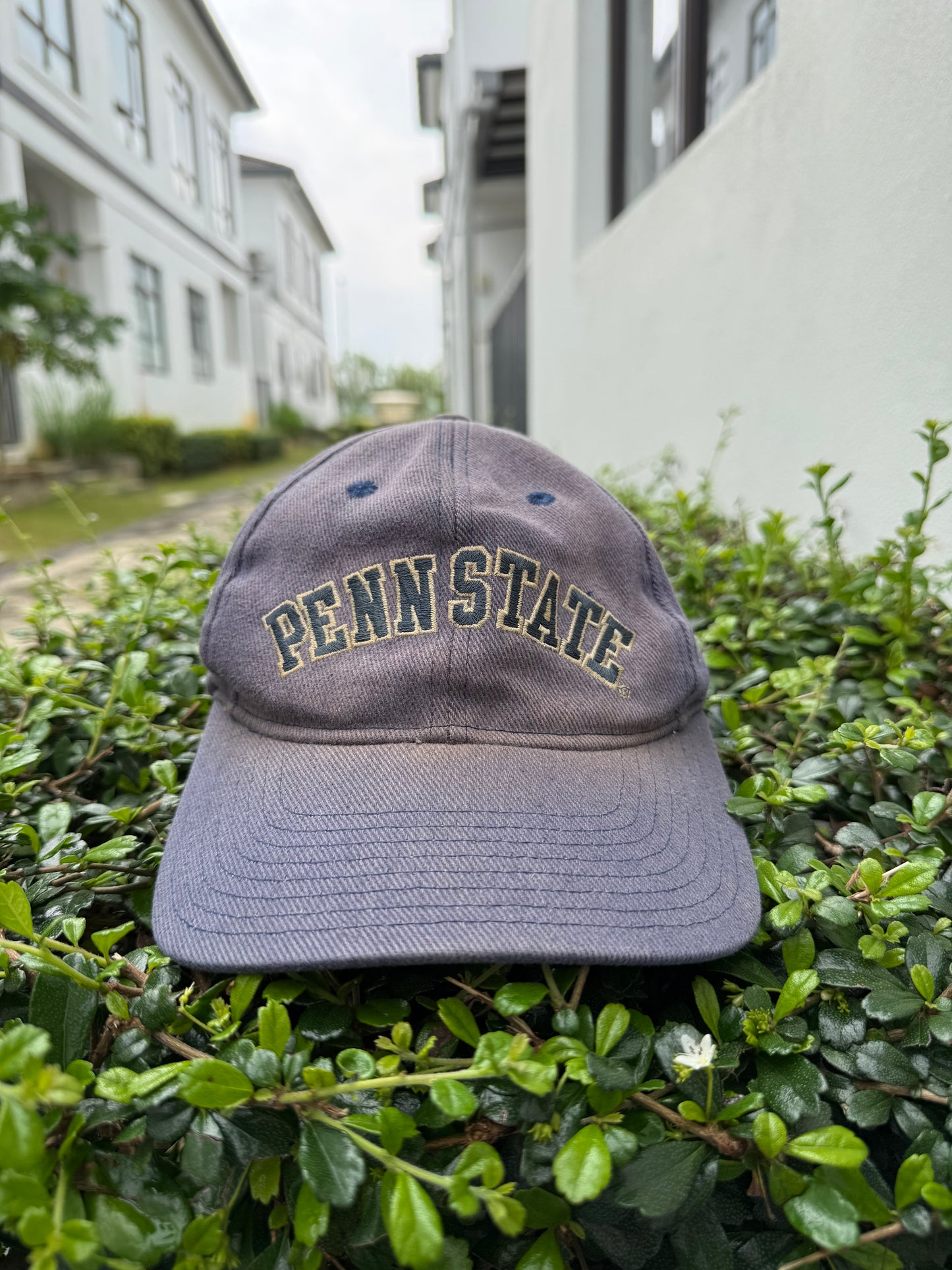 Vintage 90s Nike Penn State Team Sports Cap