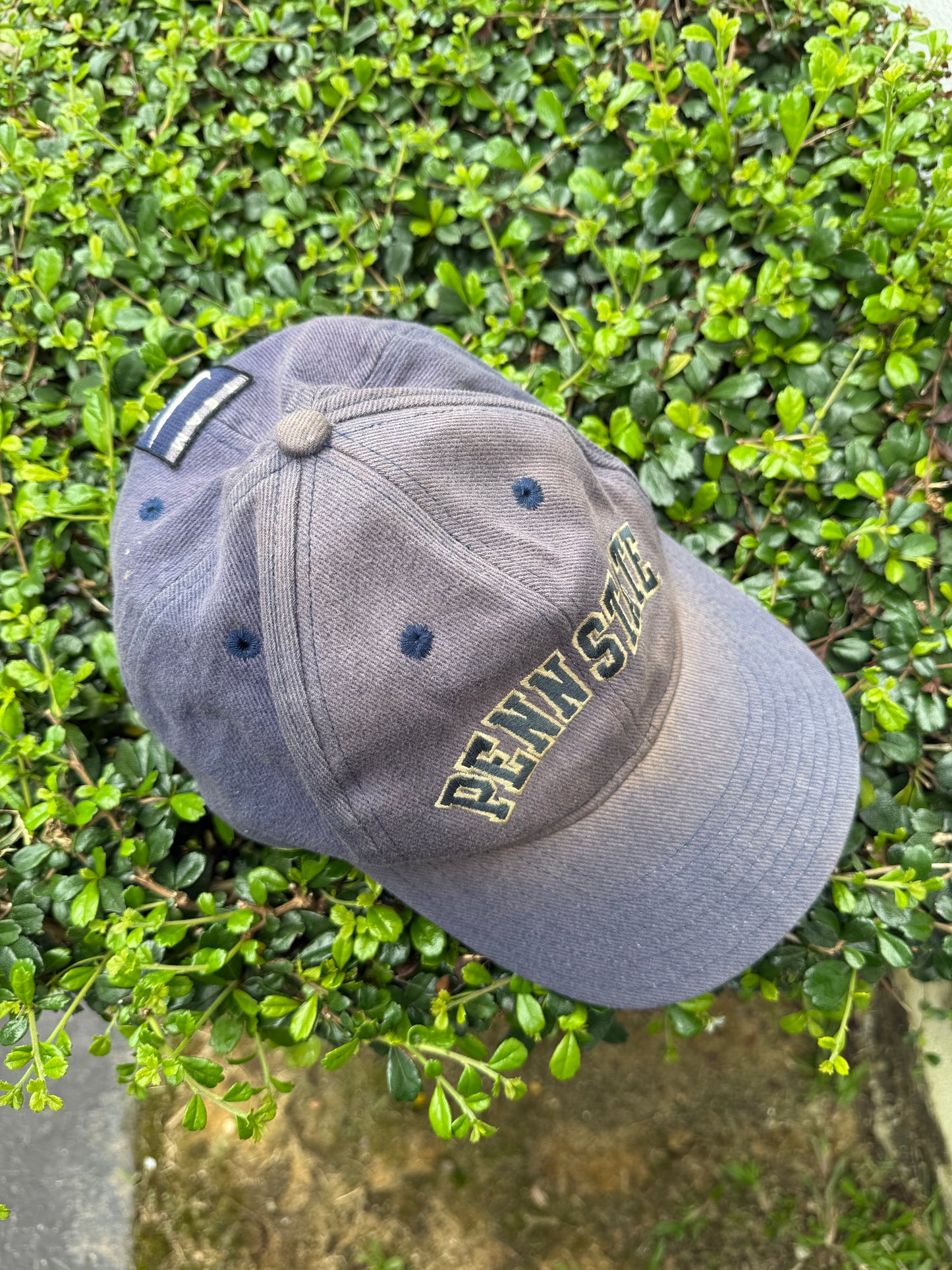 Vintage 90s Nike Penn State Team Sports Cap