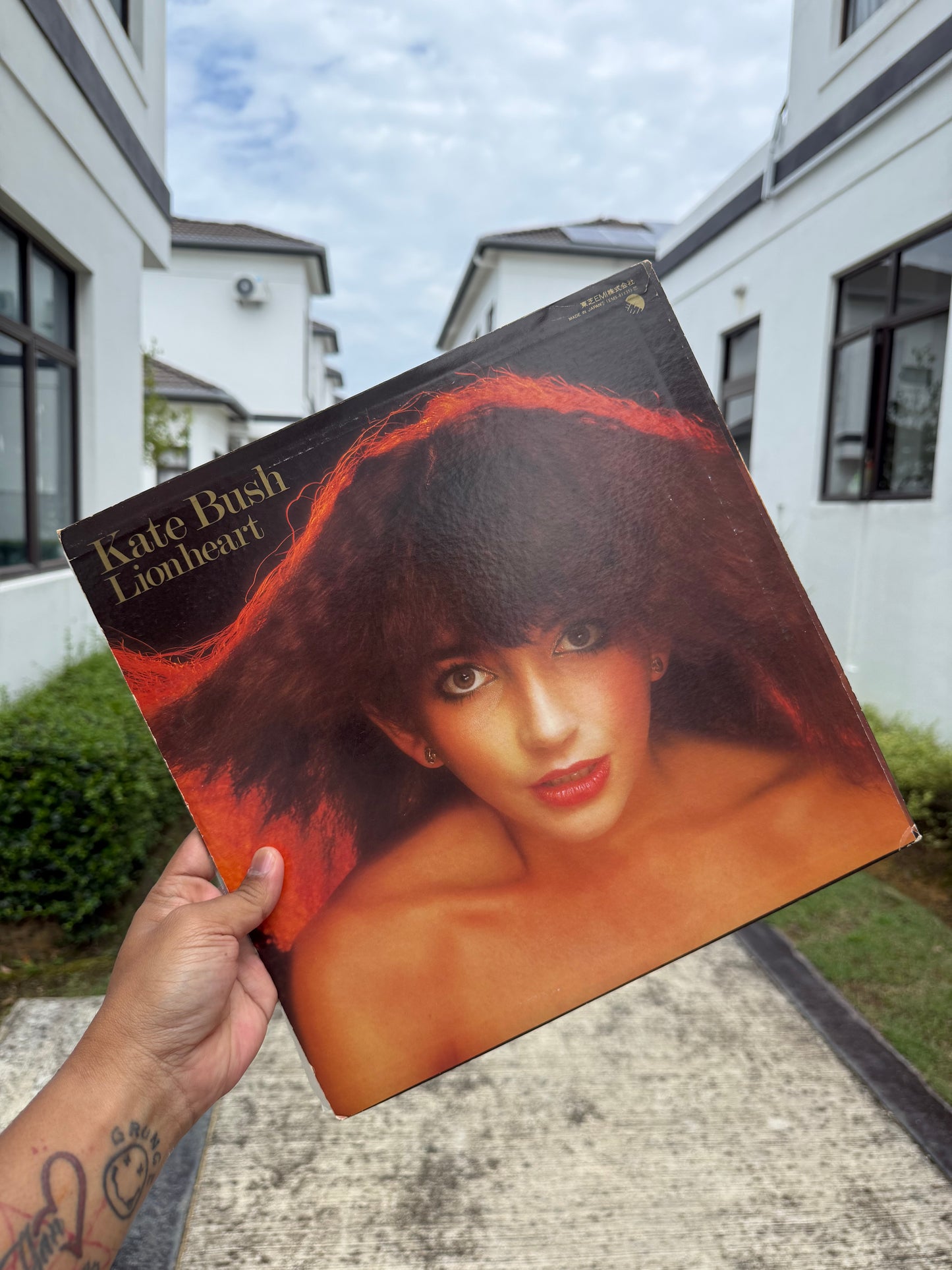 Kate Bush – Lionheart