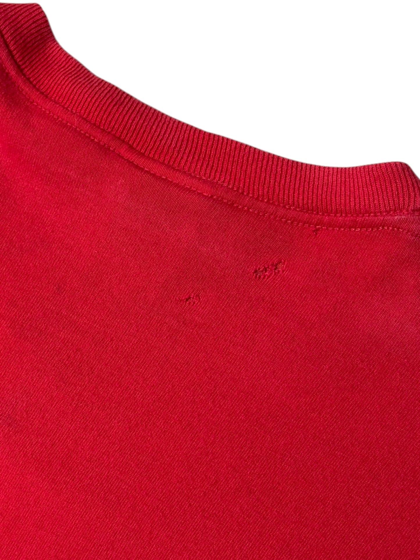 Vintage 90s Dennis Rodman Chicago Bulls Caricature Tshirt Pro Player