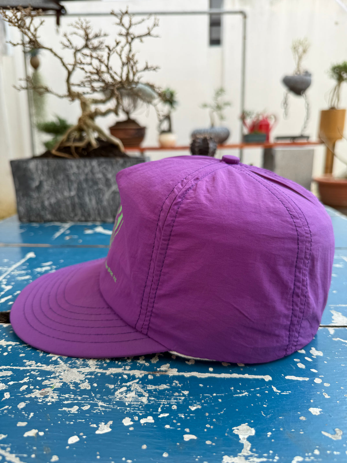 Vintage 90s Warner Bros Logo Cap