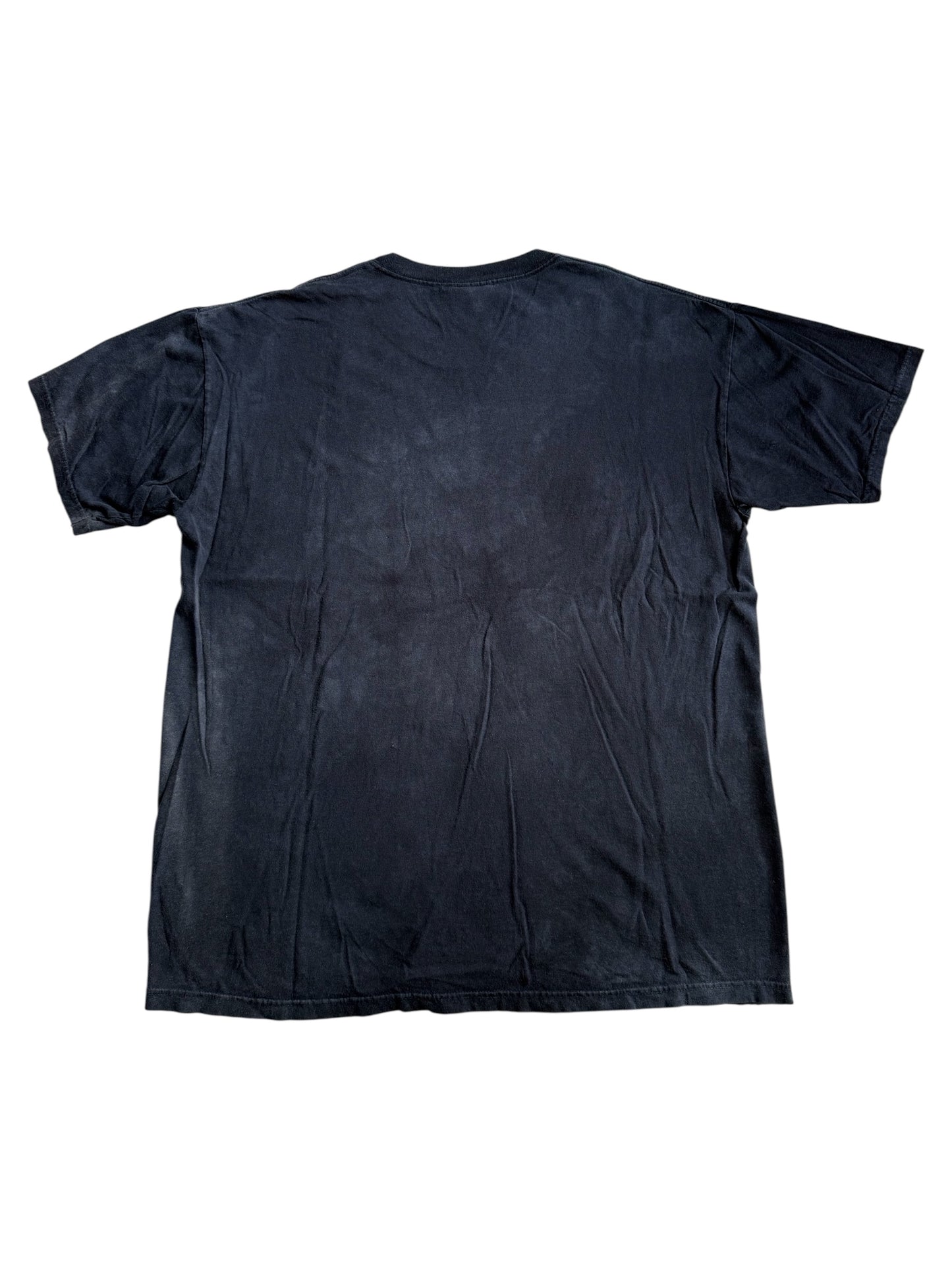 Vintage The Mountain Dragon Tree Graphic Tshirt Oversized