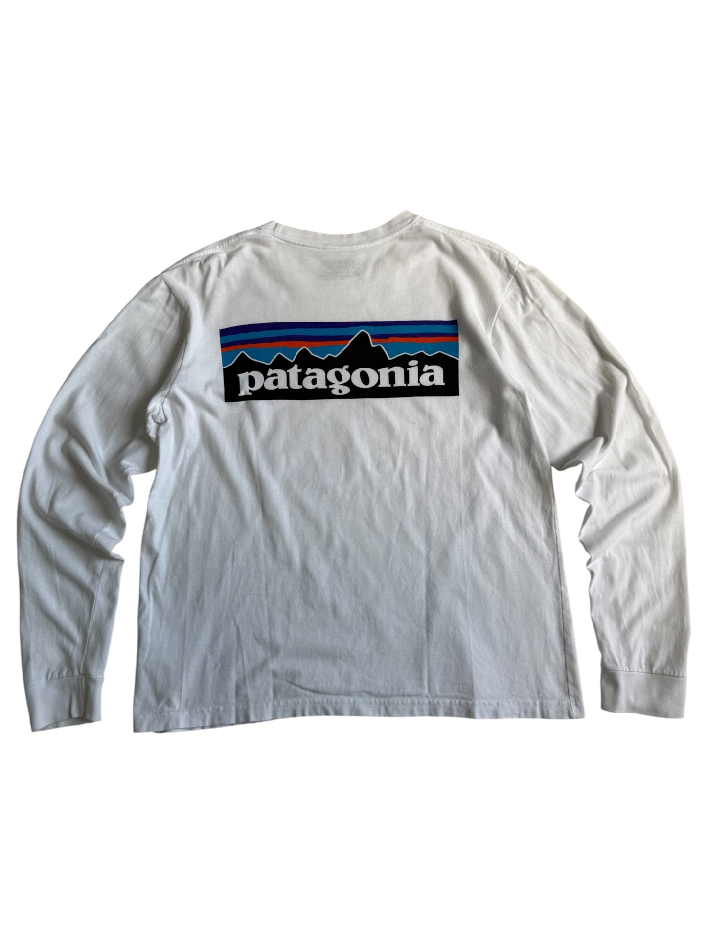 Patagonia Tshirt