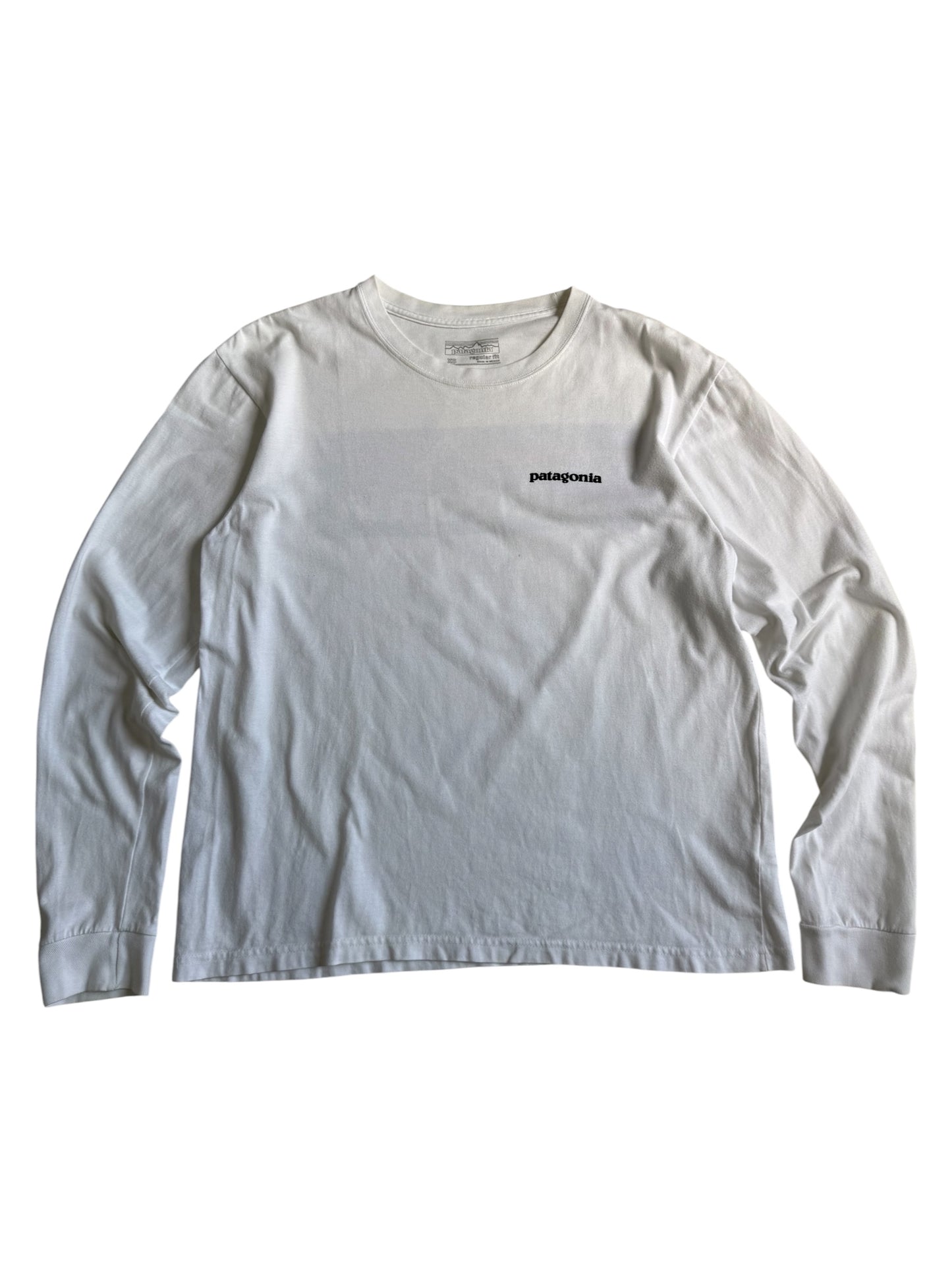 Patagonia Tshirt