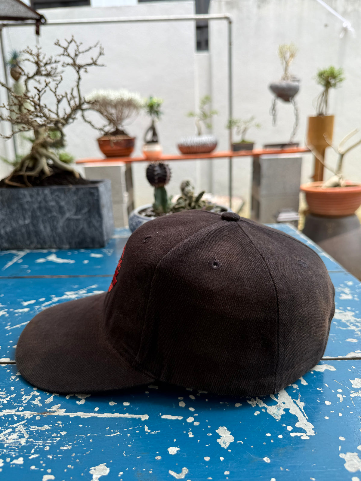 Vintage Zz Top Band Cap