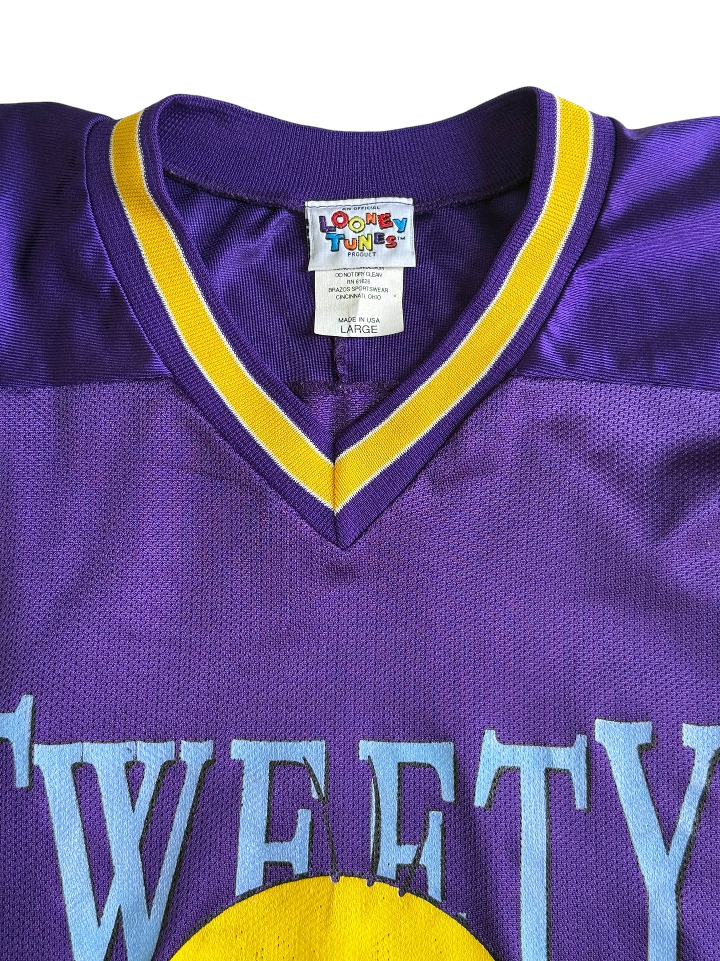 Vintage 90s Looney Tunes Tweety Bird Mesh Hockey Jersey