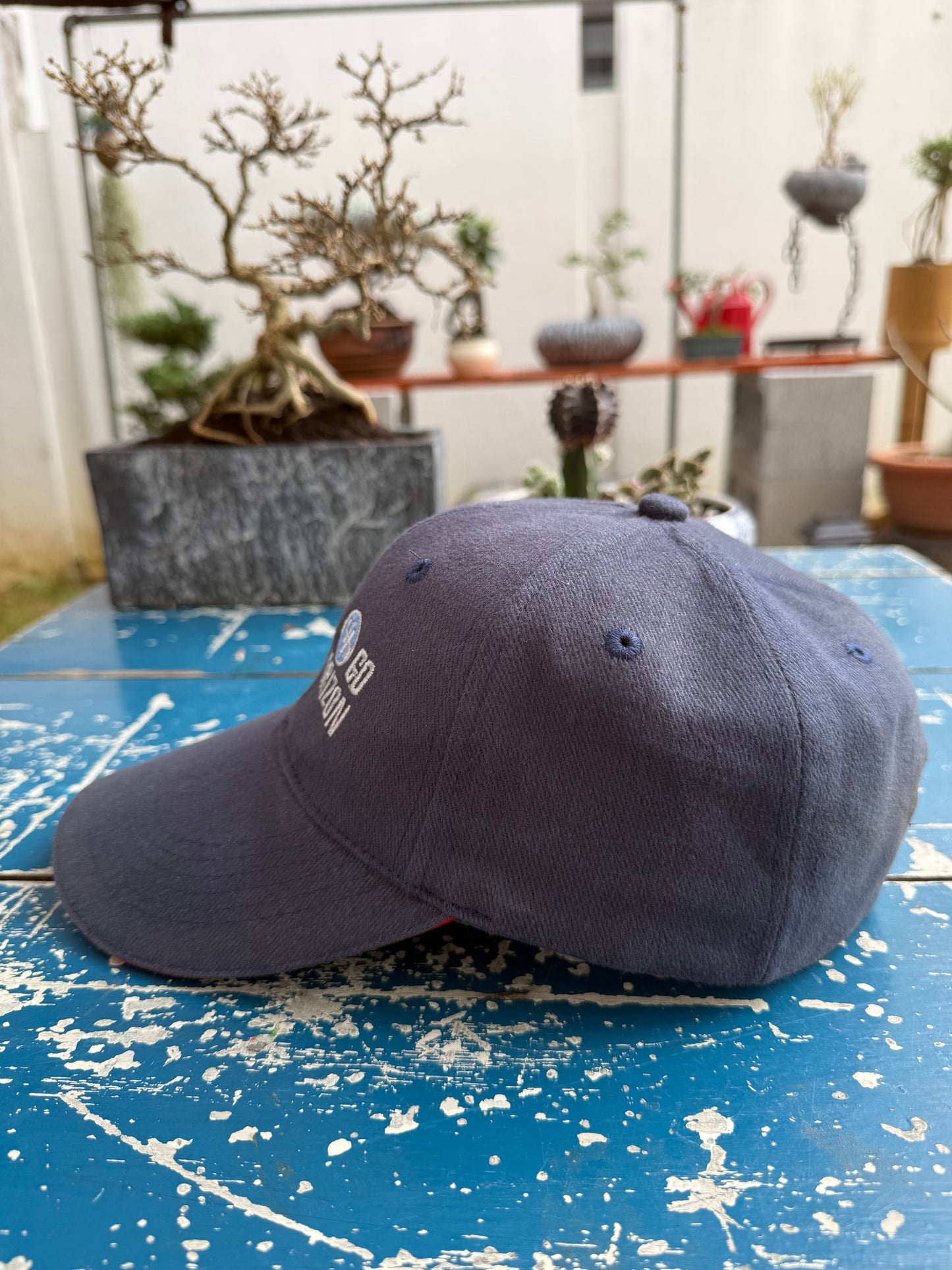 Vintage Vertical Horizon Band Go Promo Cap