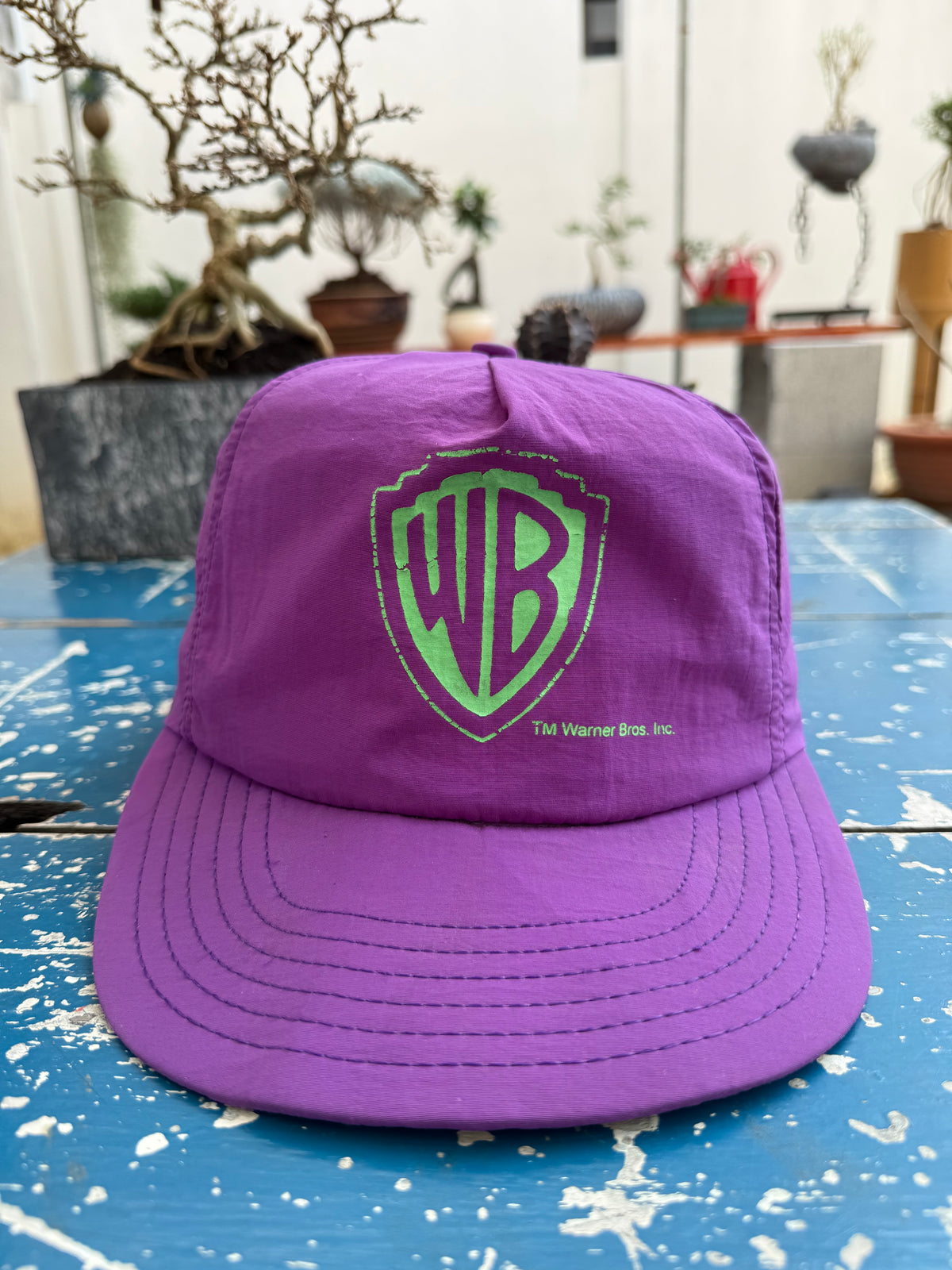 Vintage 90s Warner Bros Logo Cap