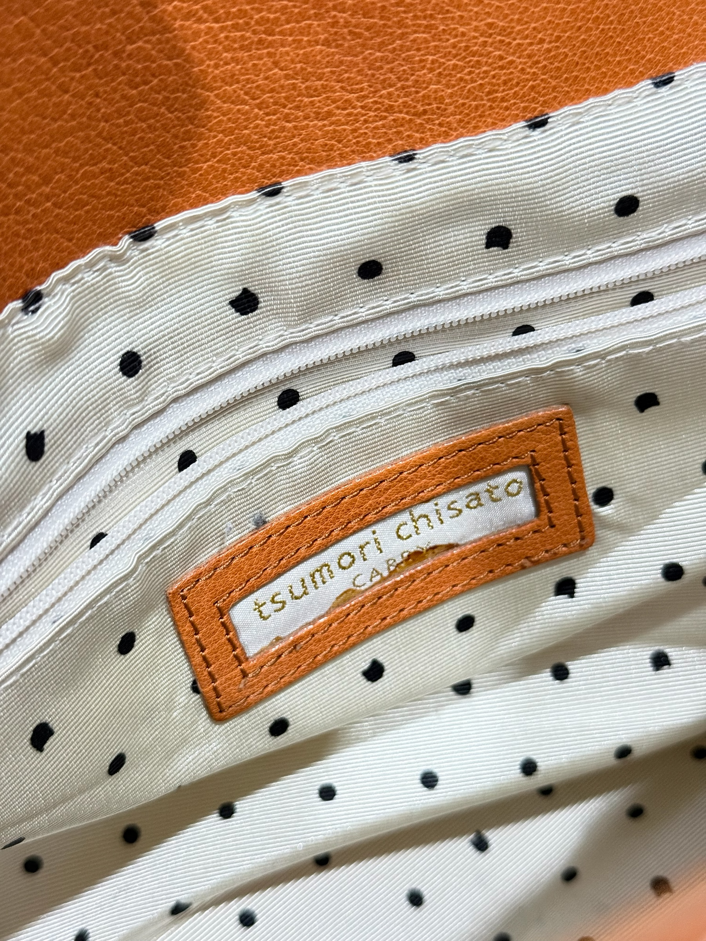 Vintage Tsumori Chisato CARRY Kariya Neko Cat Leather Tote Handbag