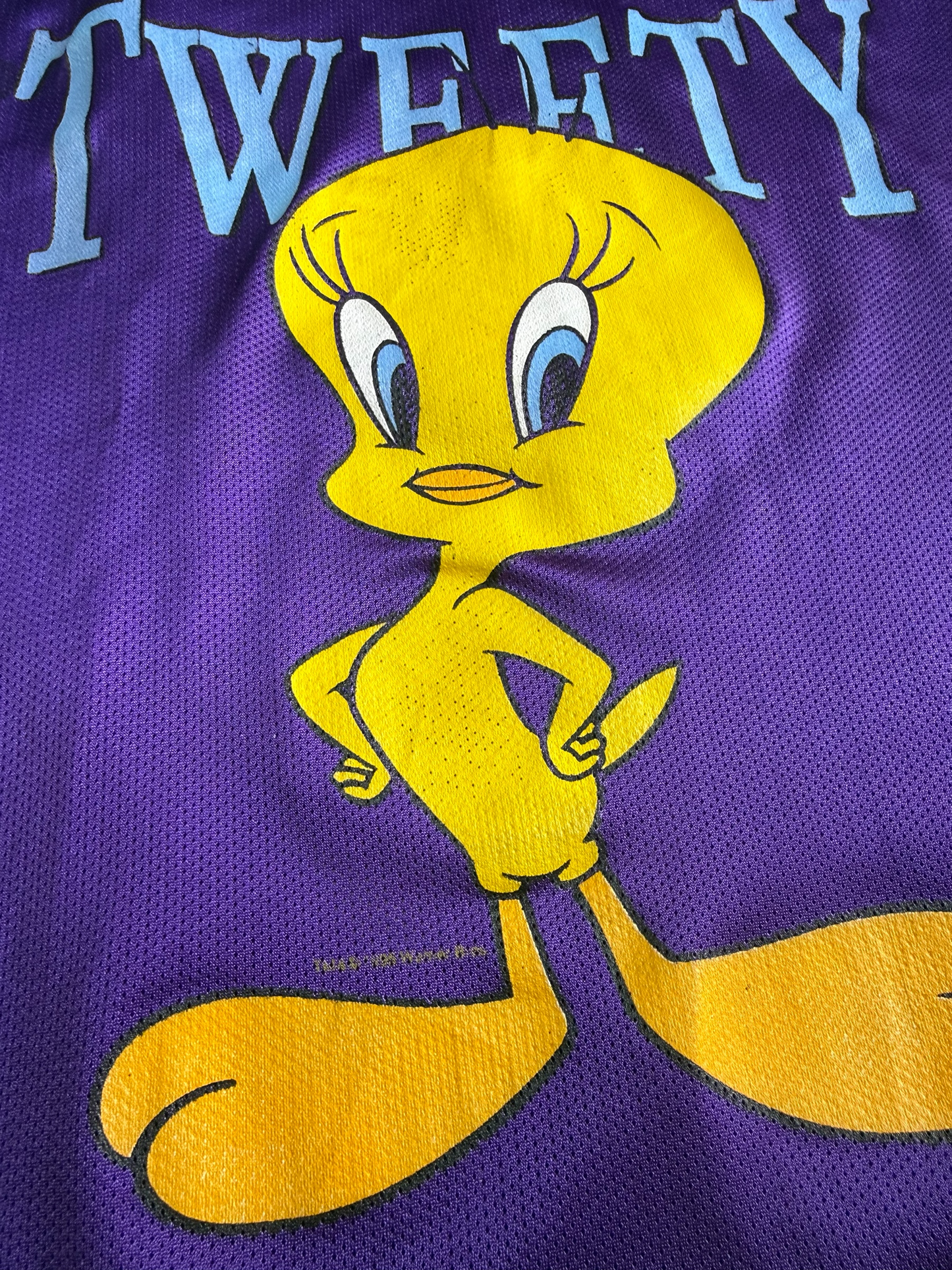 Vintage 90s Looney Tunes Tweety Bird Mesh Hockey Jersey