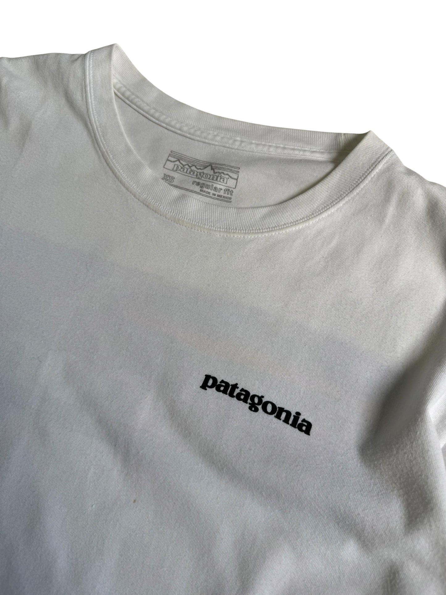 Patagonia Tshirt