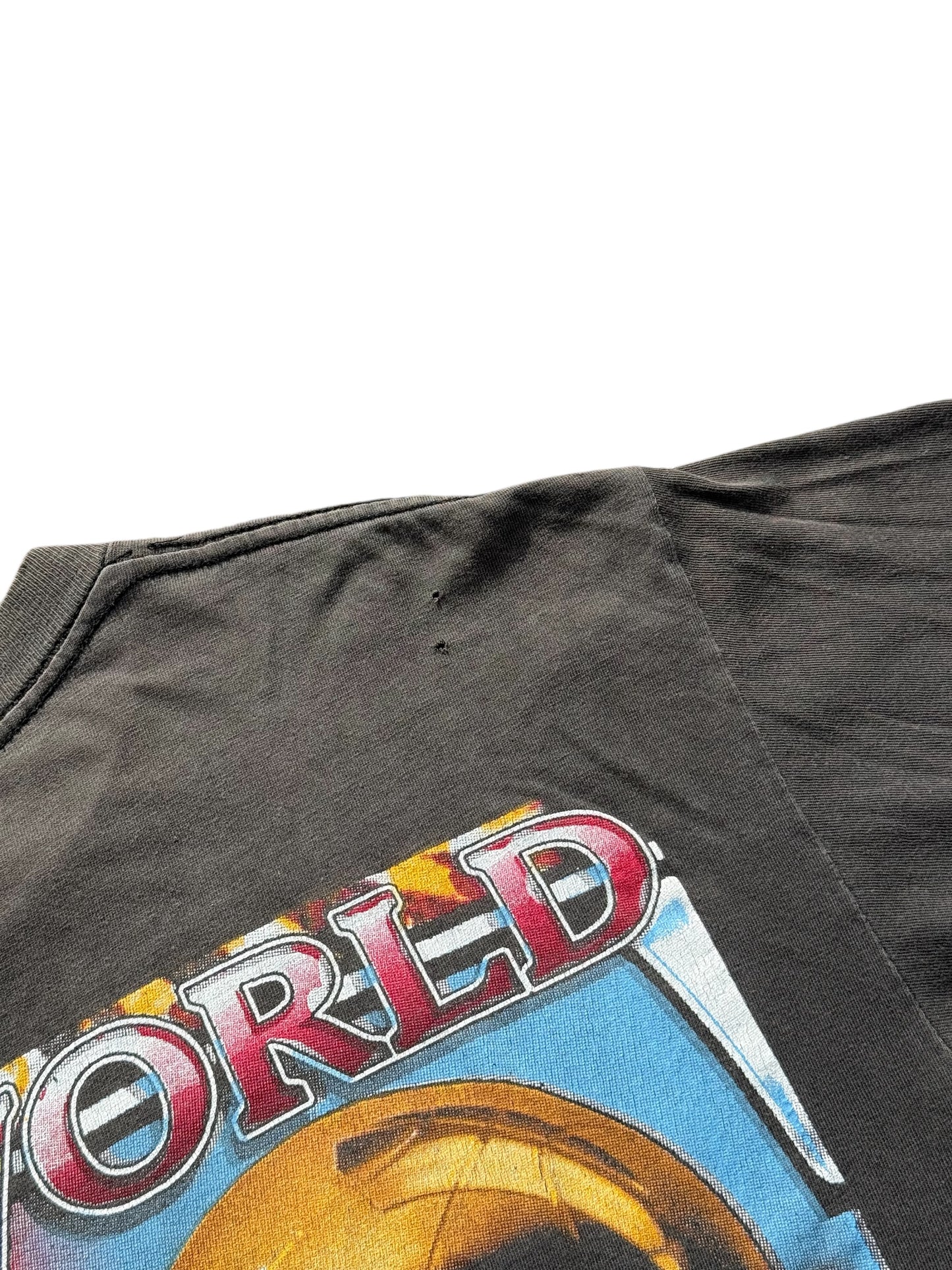 Very Rare Vintage 90s Chicago Bulls 1996 Champions Tee Jordan Pippen Rodman