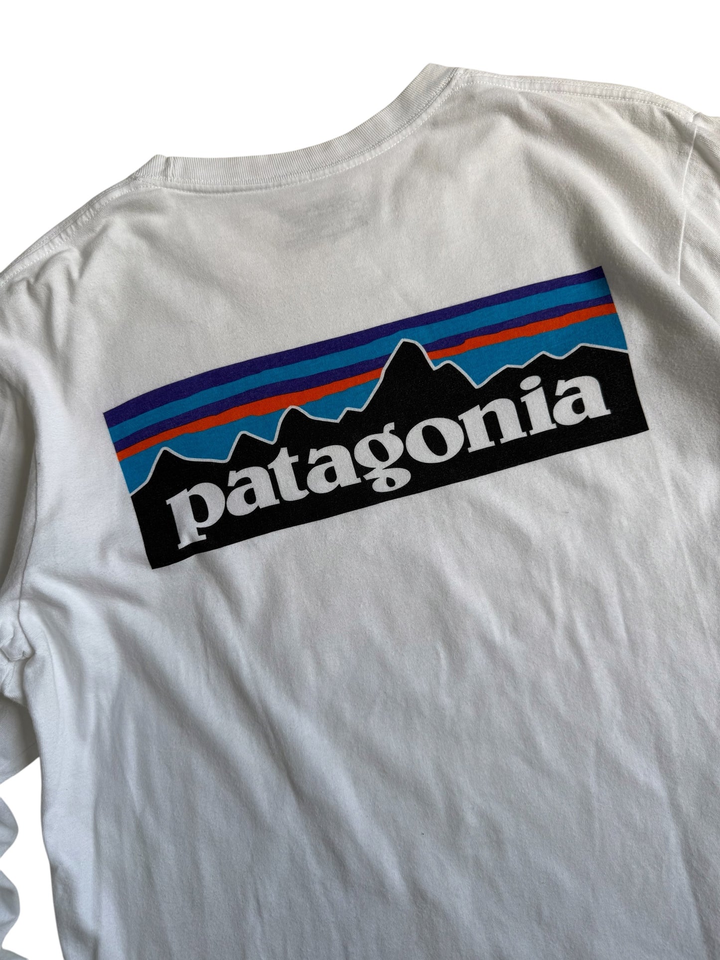 Patagonia Tshirt