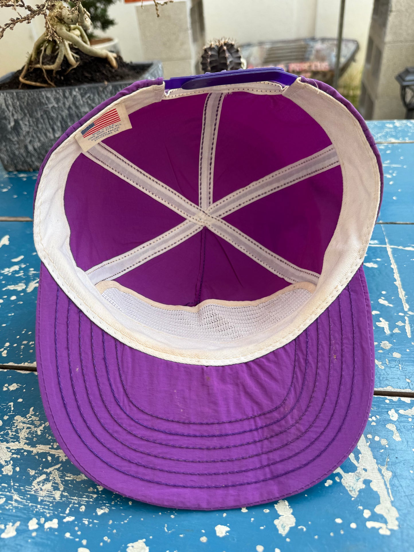 Vintage 90s Warner Bros Logo Cap