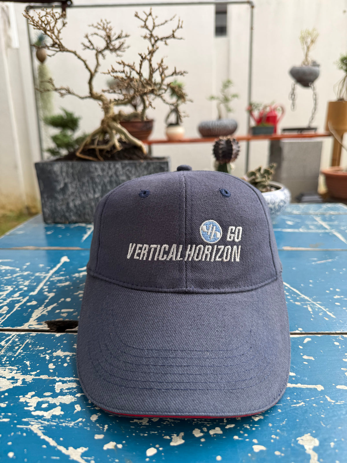 Vintage Vertical Horizon Band Go Promo Cap