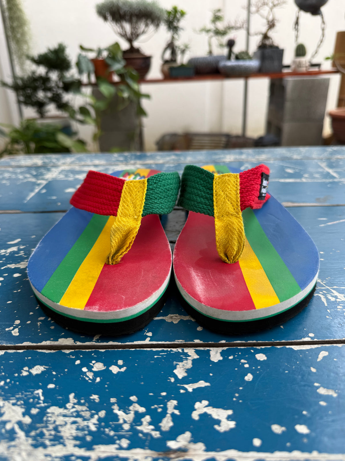 Benetton Formula 1 Racing Team Multicolor Flip Flops Sandals