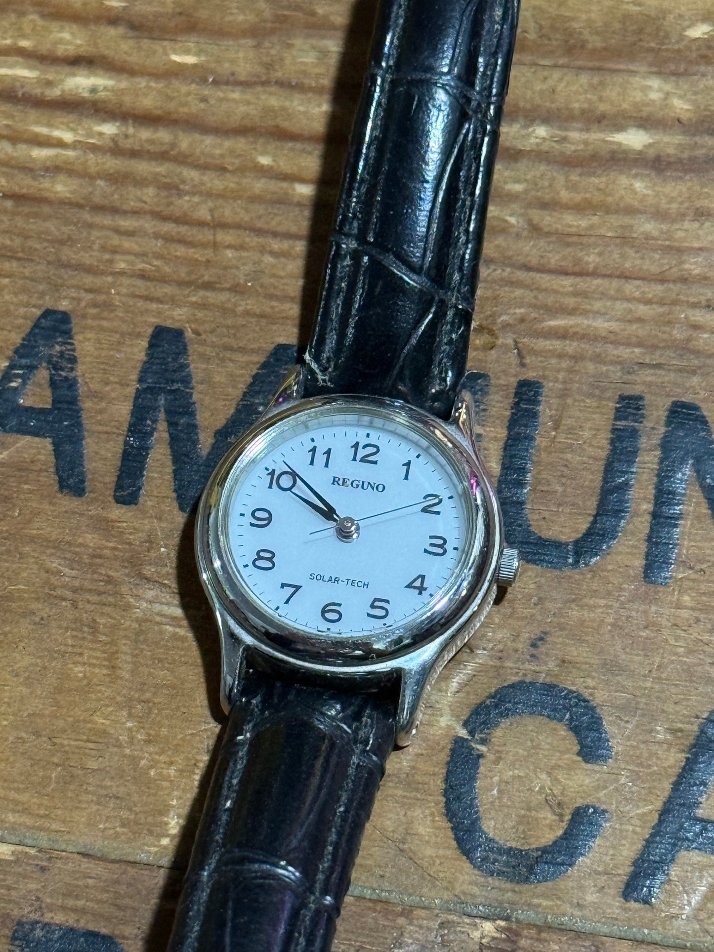 Citizen Reguno Solar-Tech Womens Watch