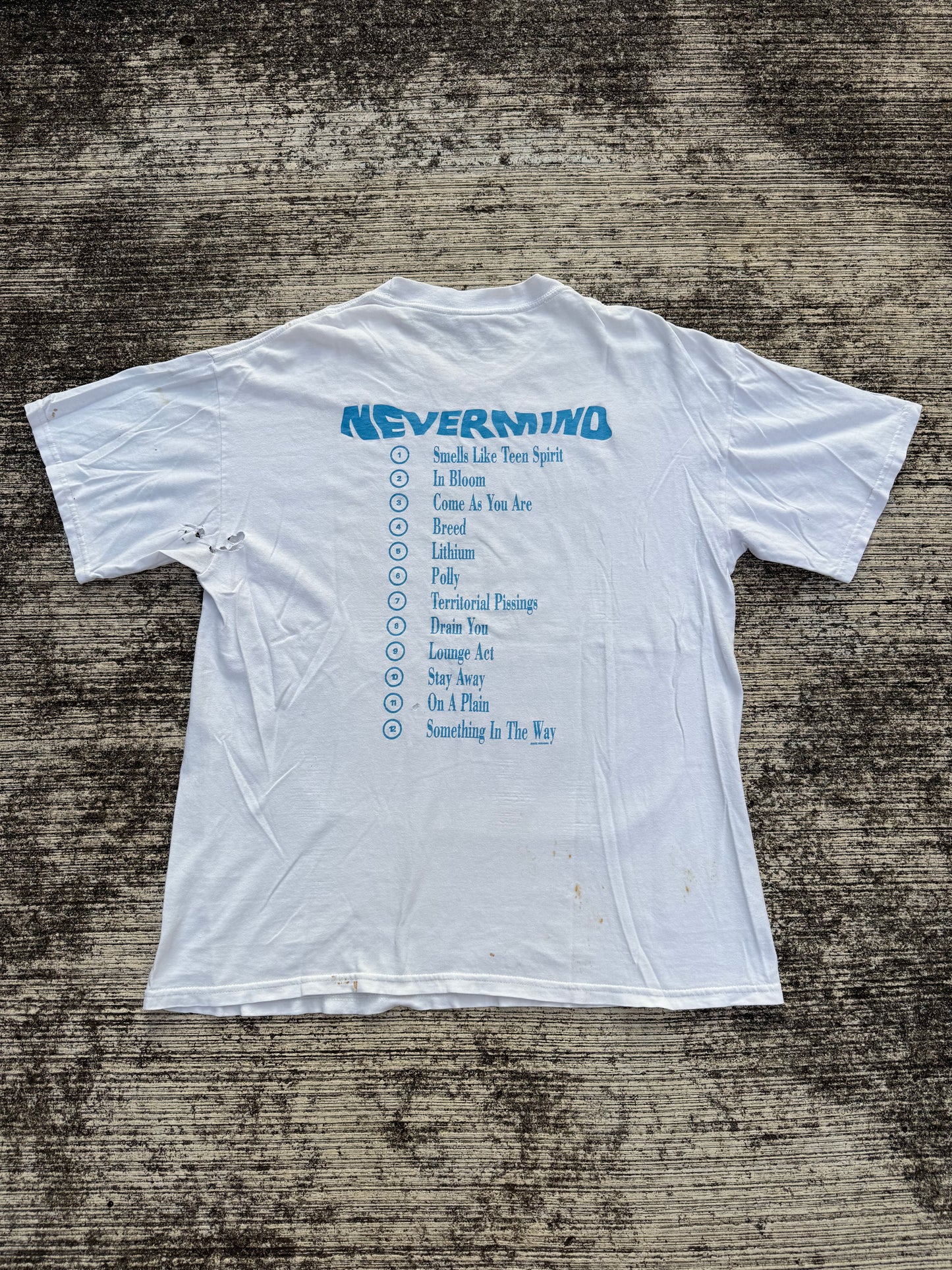 Vintage Y2K Nirvana Nevermind Album Cover T-Shirt 2002