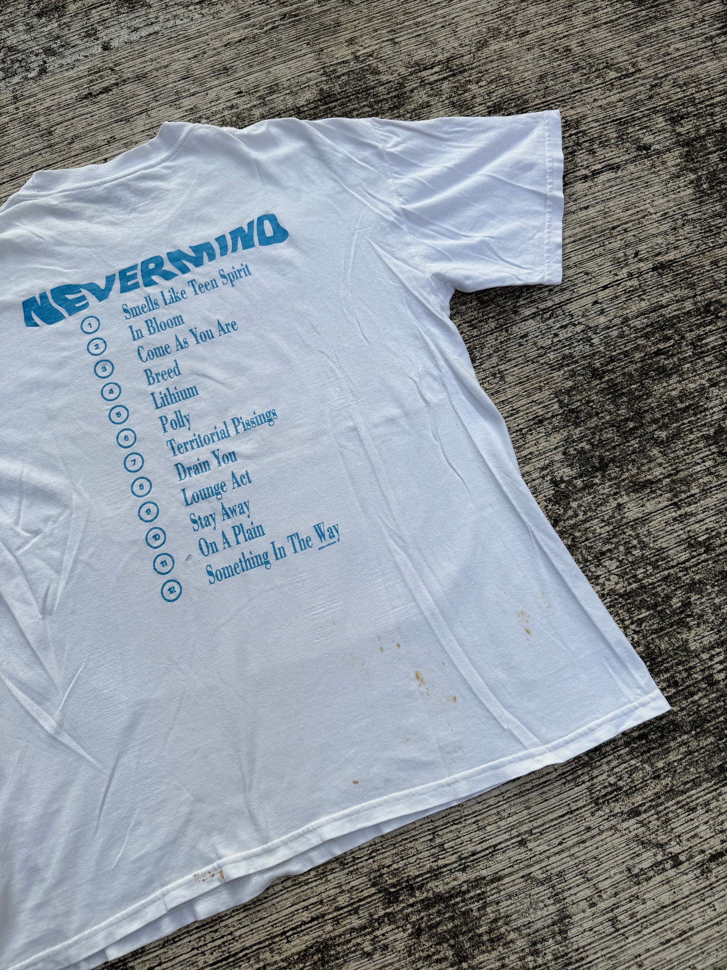 Vintage Y2K Nirvana Nevermind Album Cover T-Shirt 2002