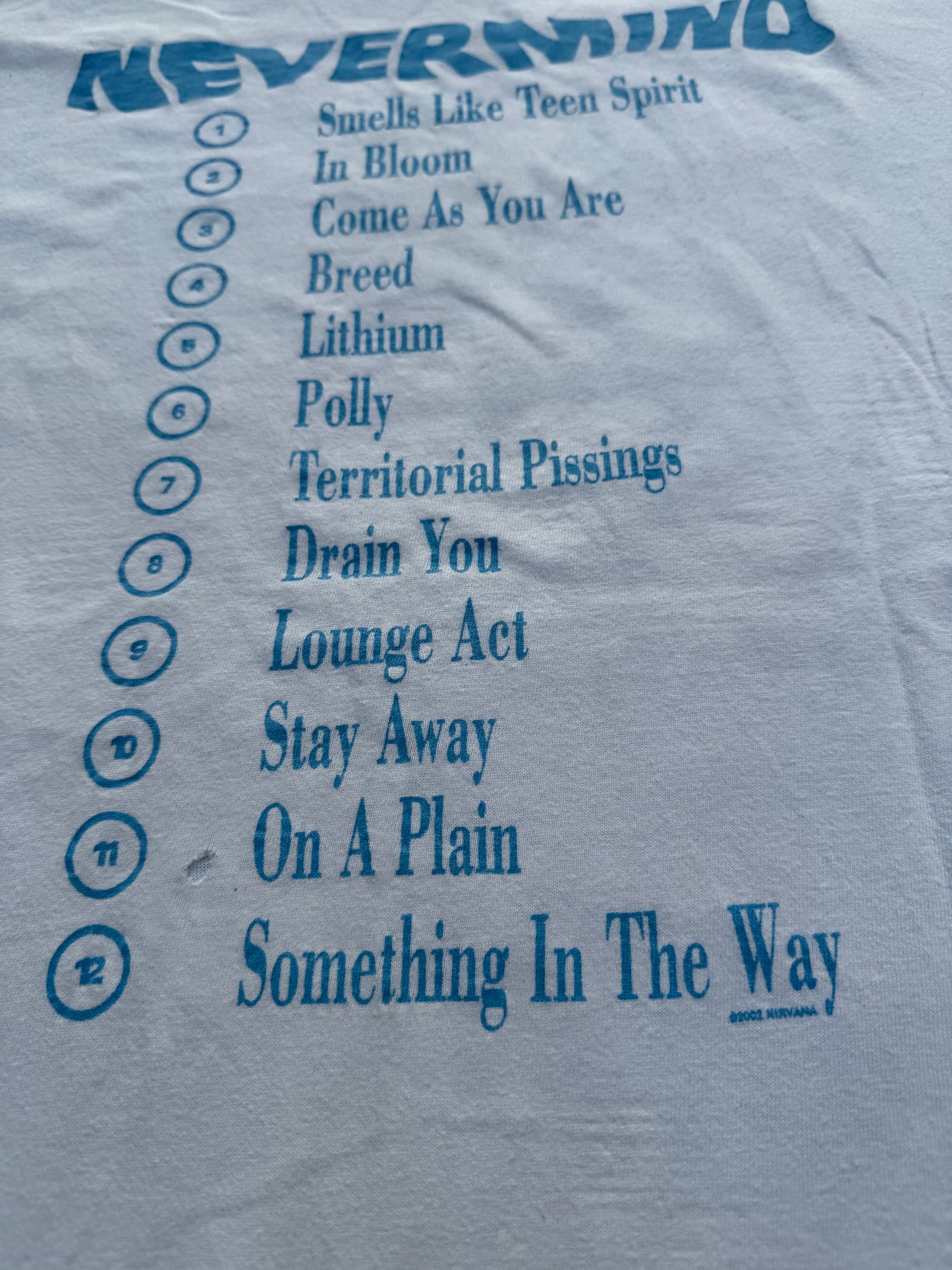 Vintage Y2K Nirvana Nevermind Album Cover T-Shirt 2002