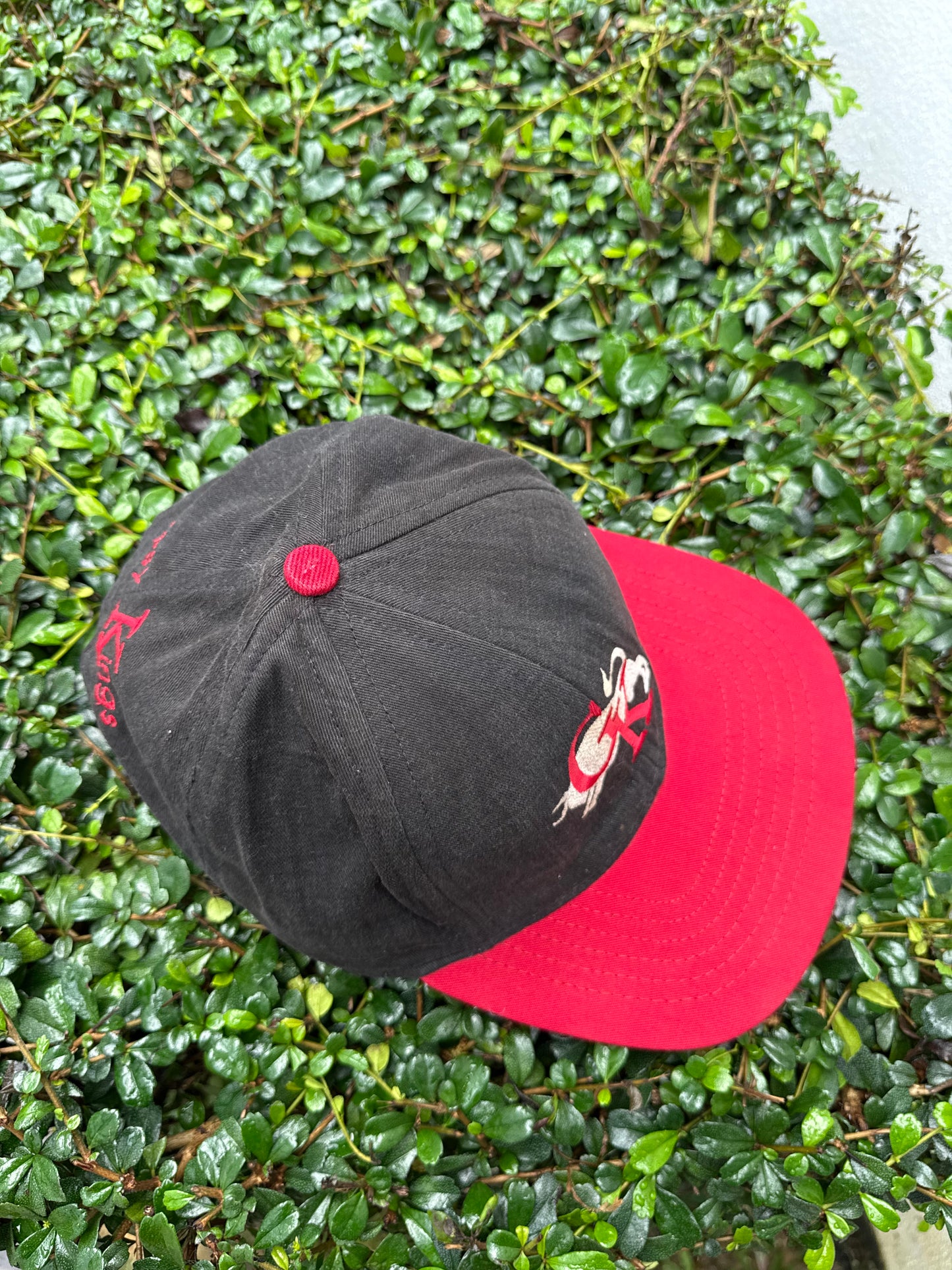 Vintage Gipsy Kings Embroidered Logo Cap 1990s