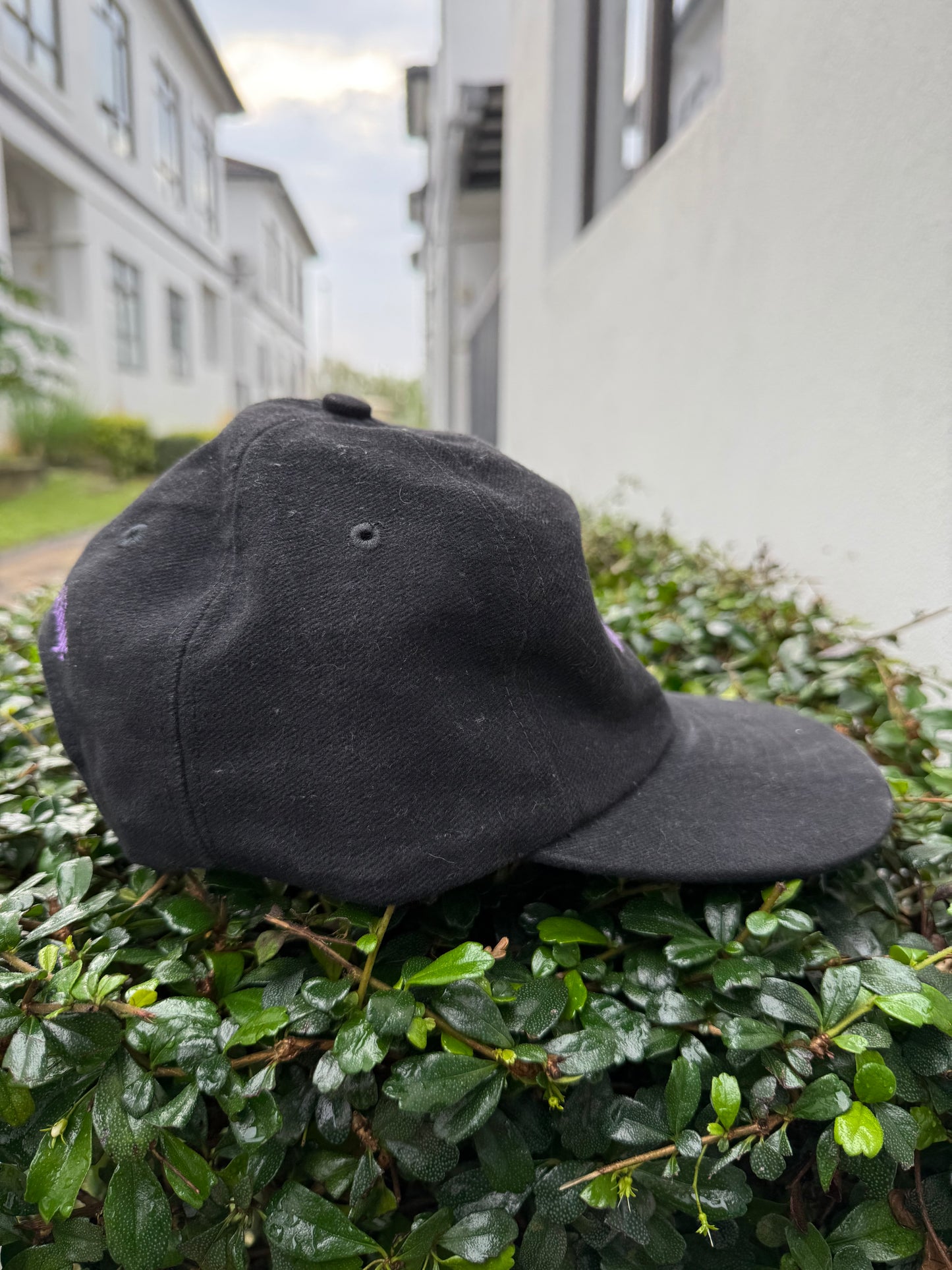 Vintage Melissa Etheridge Tour Promo Snapback Hat