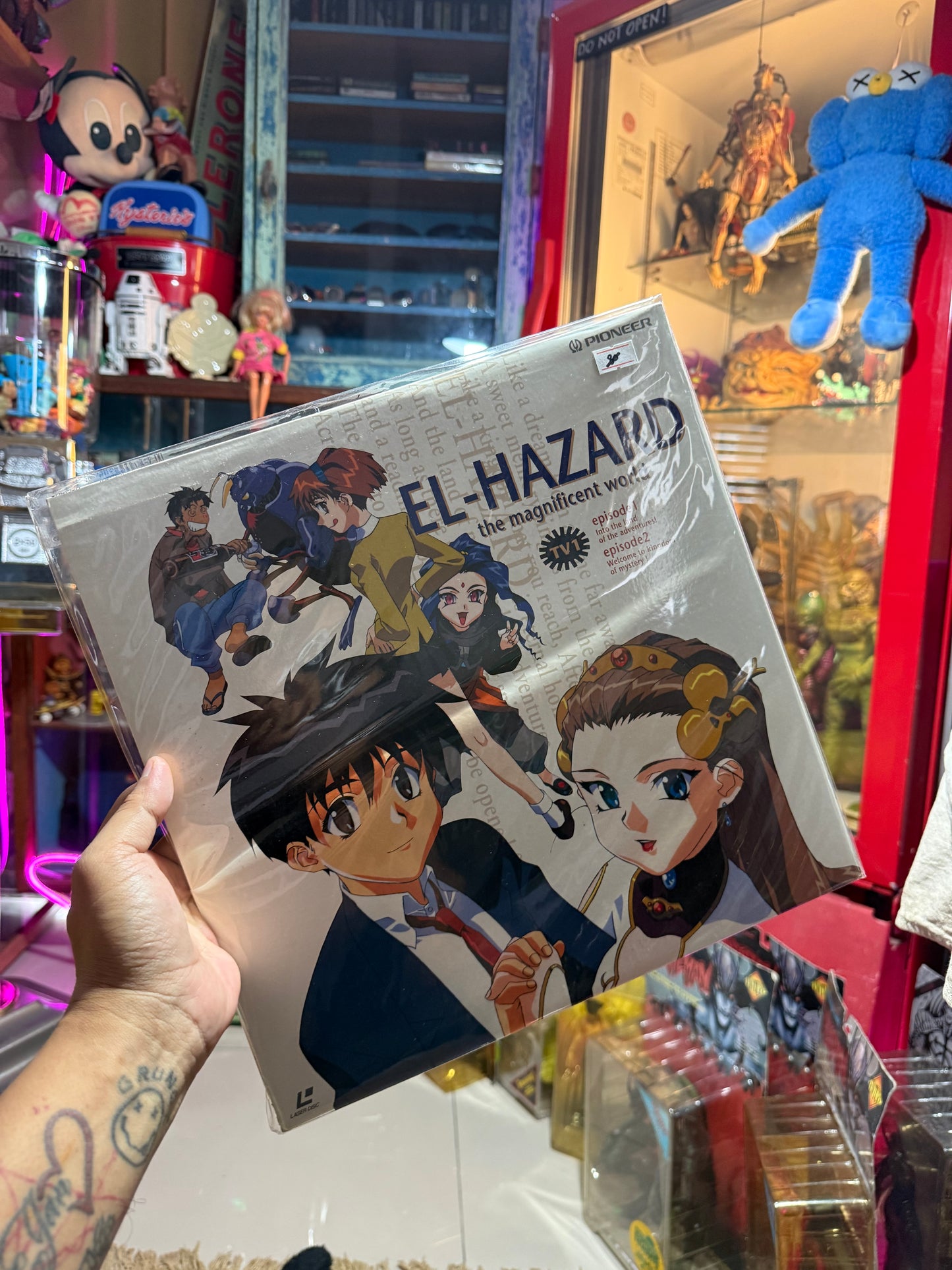 Vintage El-Hazard: The Magnificent World LaserDisc Bundle Set (3pcs) Japan Anime LD Pioneer