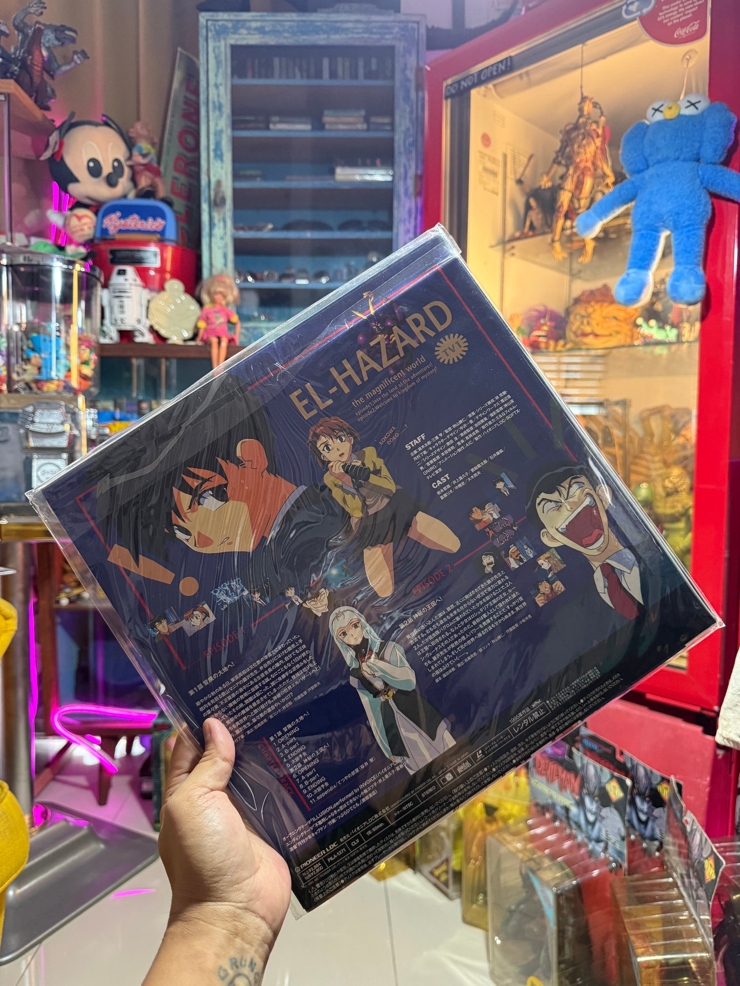 Vintage El-Hazard: The Magnificent World LaserDisc Bundle Set (3pcs) Japan Anime LD Pioneer