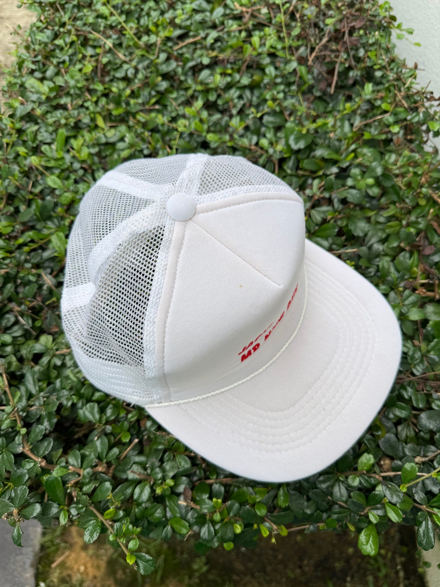 Vintage Jackie Chan Mr. Nice Guy Promo Trucker Cap