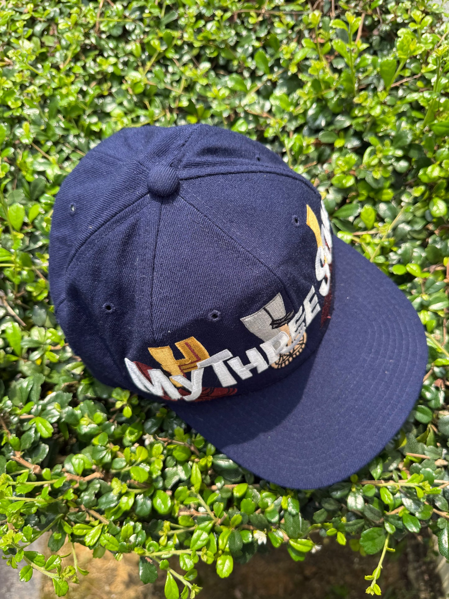 Vintage American Needle “My Three Sons” Embroidered Snapback Cap (1993 CBS Licensed)