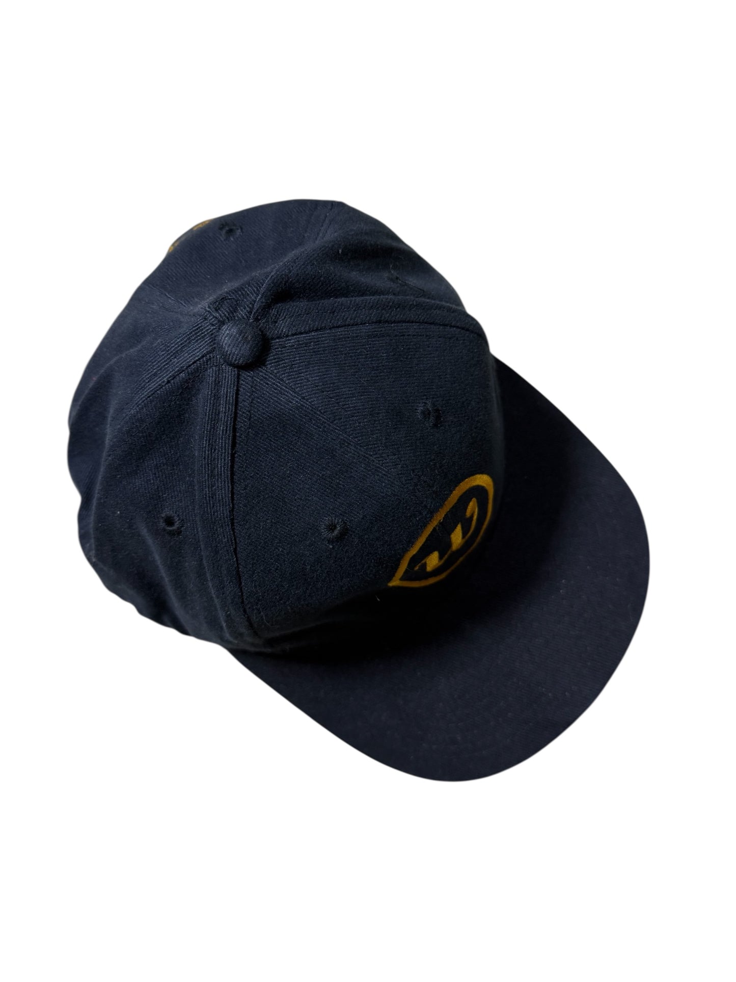 Vintage The Wallflowers Band Cap Black Snapback