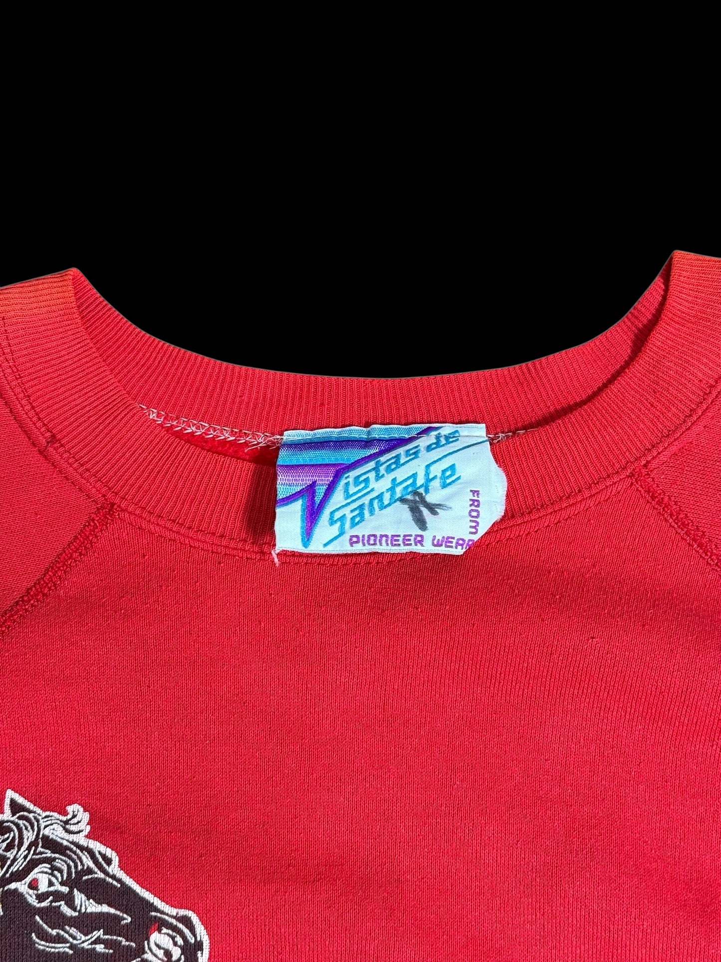 Vintage 1990s Pioneer Spirit USA Flag Graphic Sweatshirt