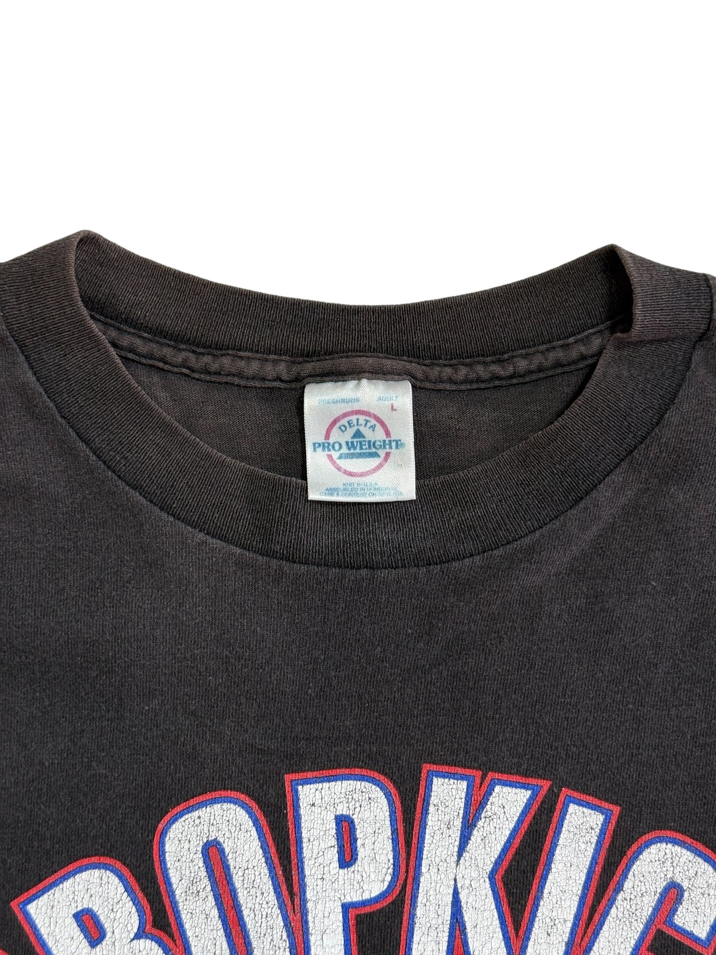 Vintage Dropkick Murphys Band Tshirt