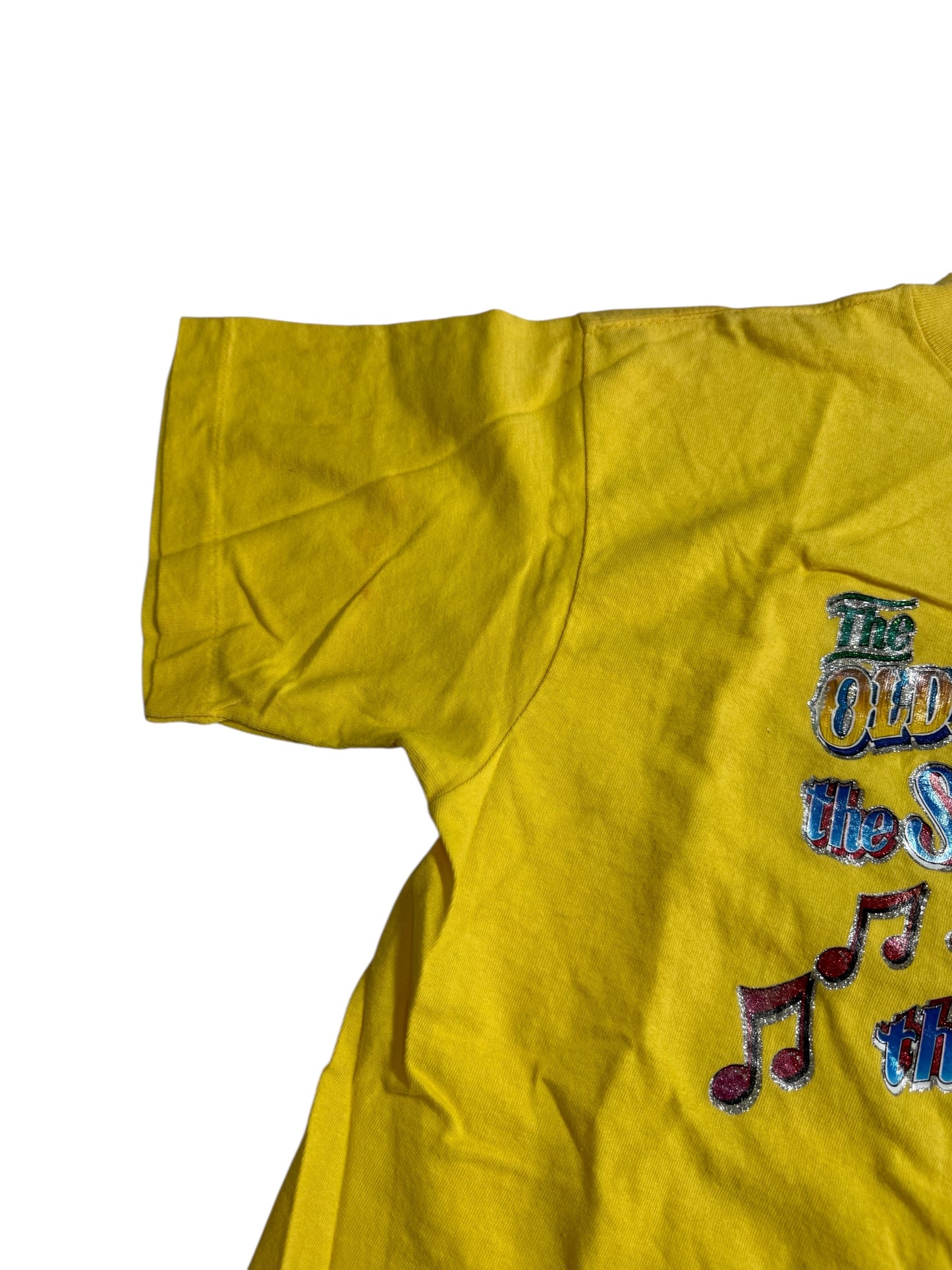 Vintage 70s 80s Violin Music Iron On Tshirt Glitter Graphic