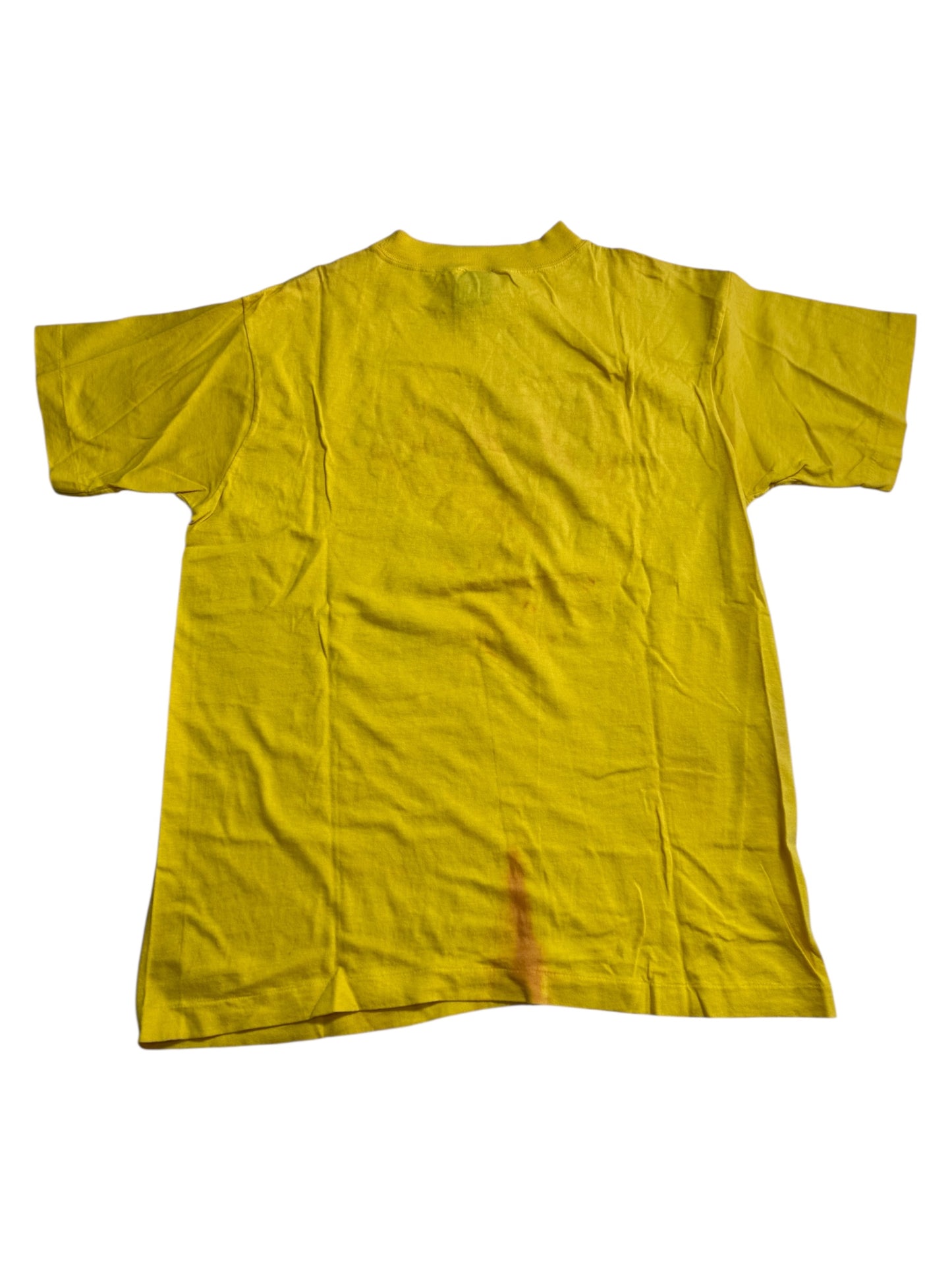Vintage 70s 80s Violin Music Iron On Tshirt Glitter Graphic