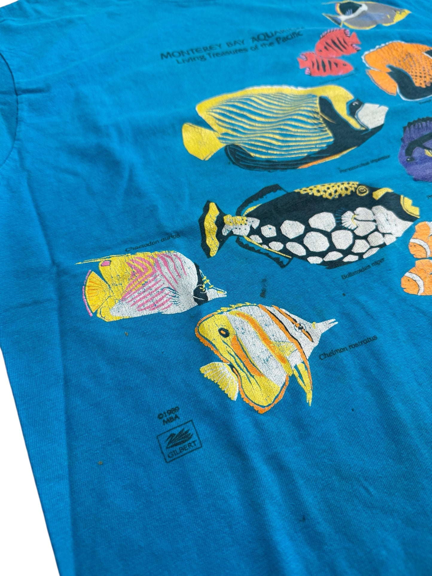 Vintage 1989 Monterey Bay Aquarium Fish Tshirt Marine Life Graphic