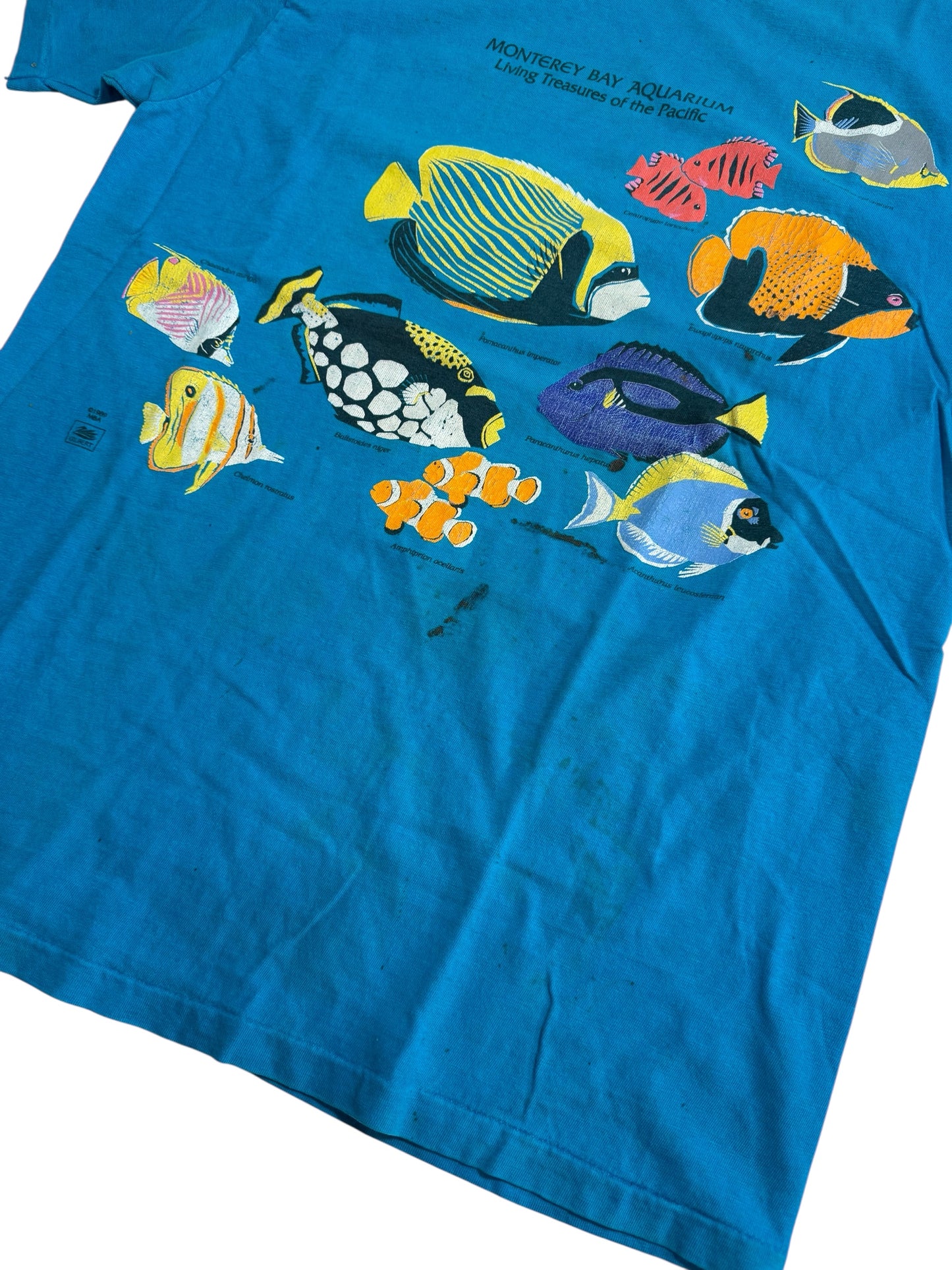Vintage 1989 Monterey Bay Aquarium Fish Tshirt Marine Life Graphic