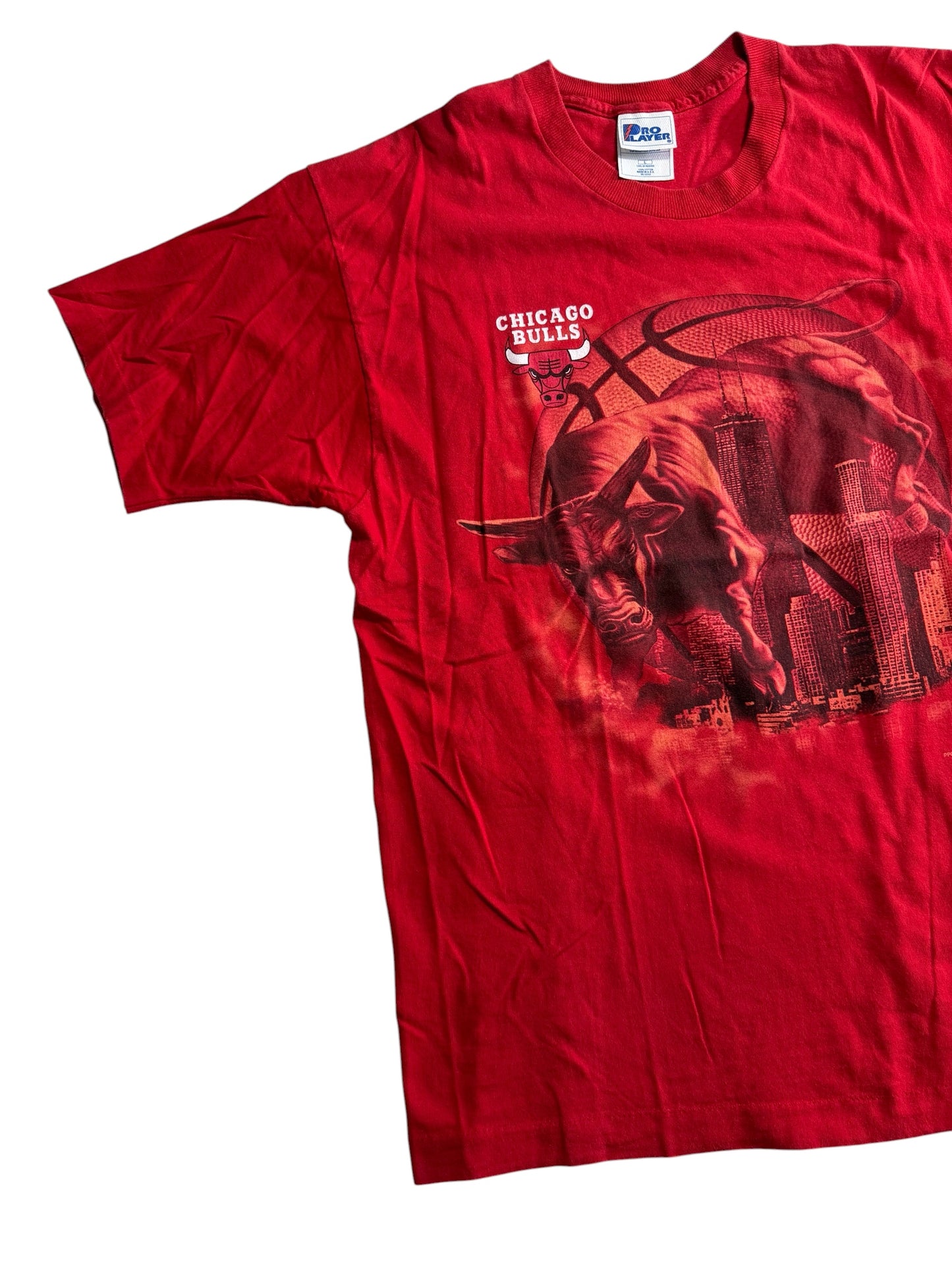 Vintage Chicago Bulls Big Graphic Tshirt Pro Player NBA 1990s Made in USA