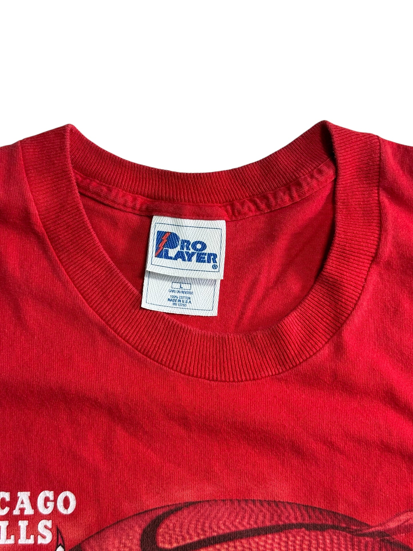 Vintage Chicago Bulls Big Graphic Tshirt Pro Player NBA 1990s Made in USA